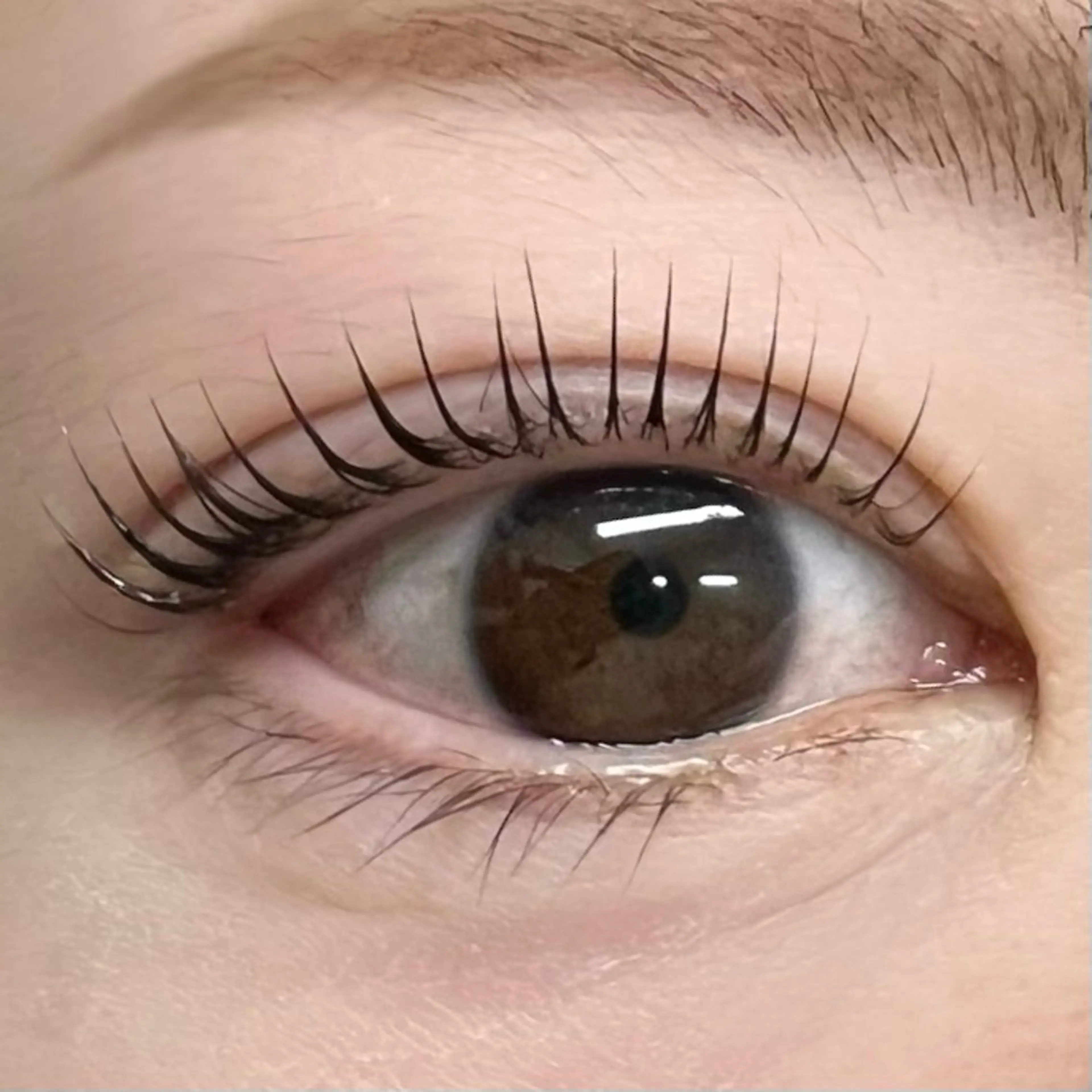 マツエク・マツパ Tee.beaut‘e みよし店所属・Yumiko .の眉毛・アイブロウイメージ