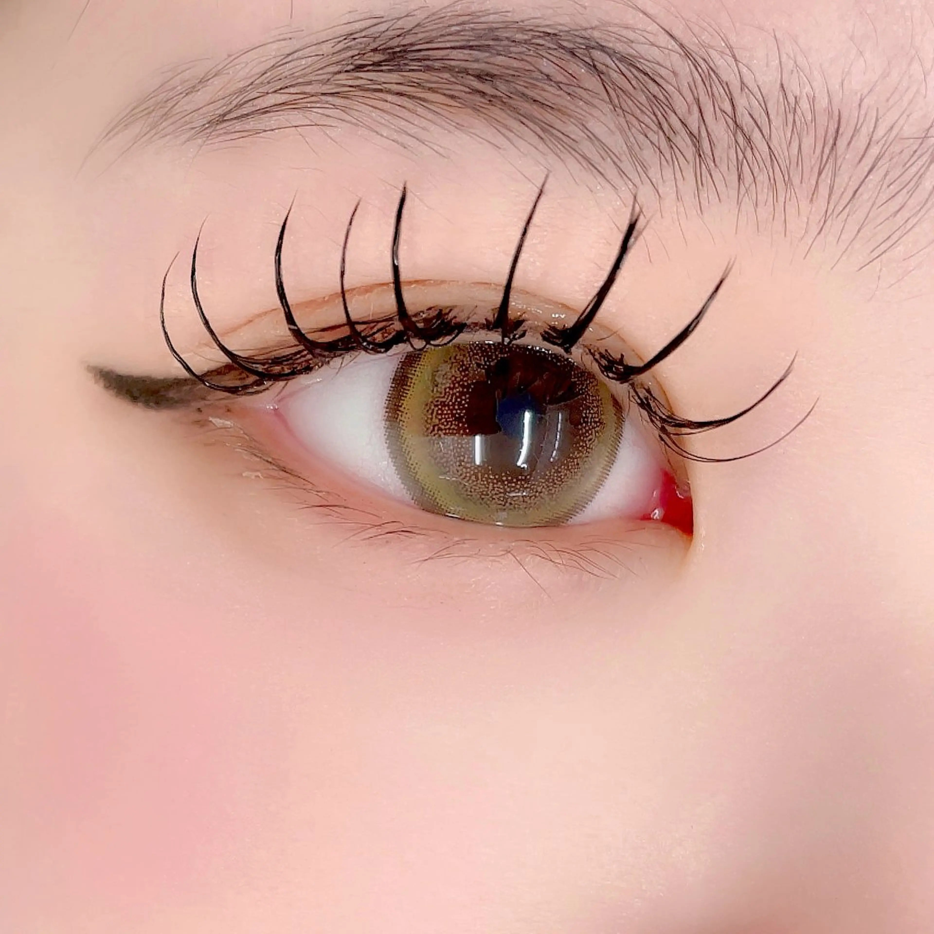 マツエク・マツパ 束感まつ毛 キュート Dカール フラットラッシュ Morganite 🦋 ÿui 🦋のマツエク・マツパデザイン