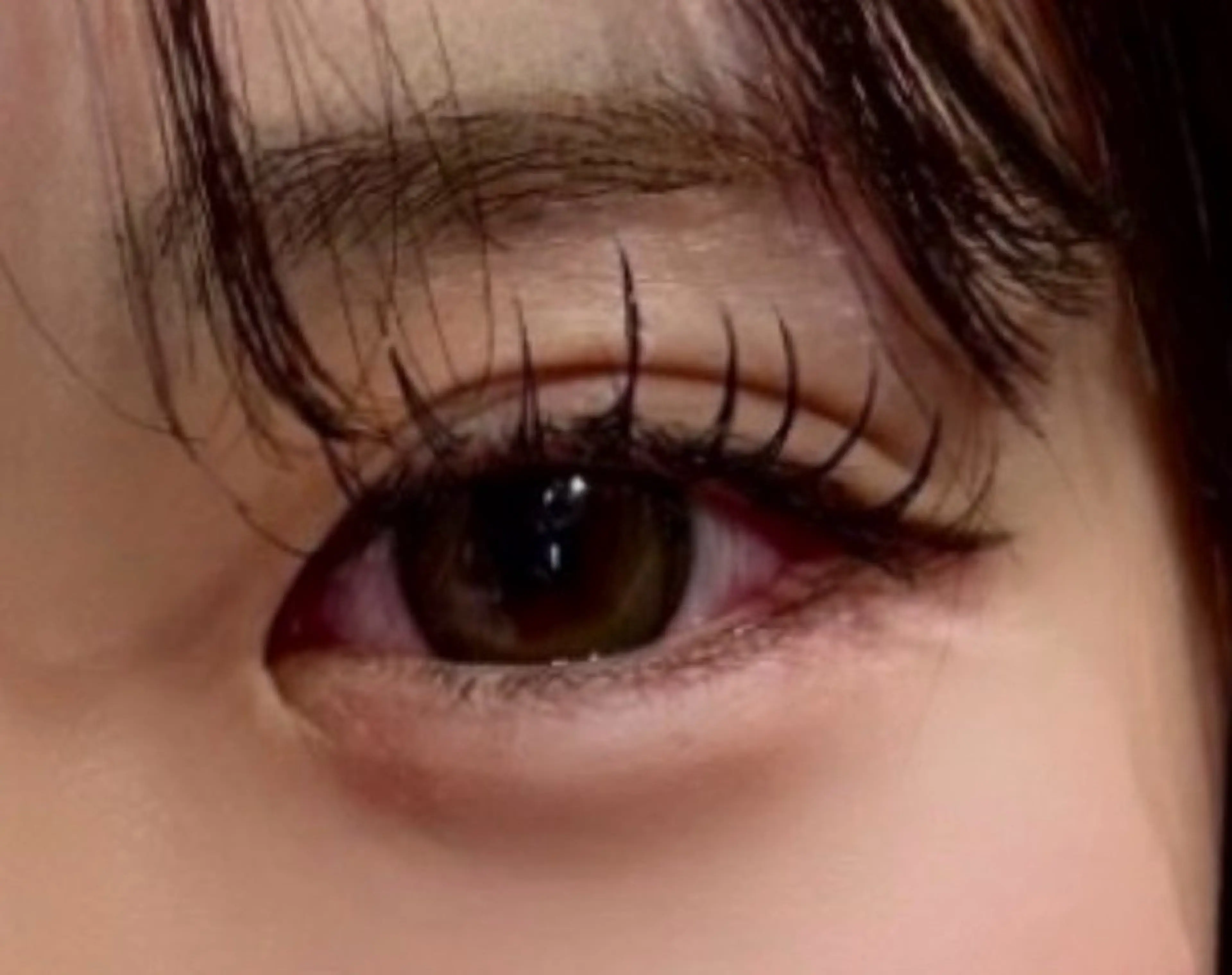 フラットラッシュ100本【 他店オフ込 】の写真