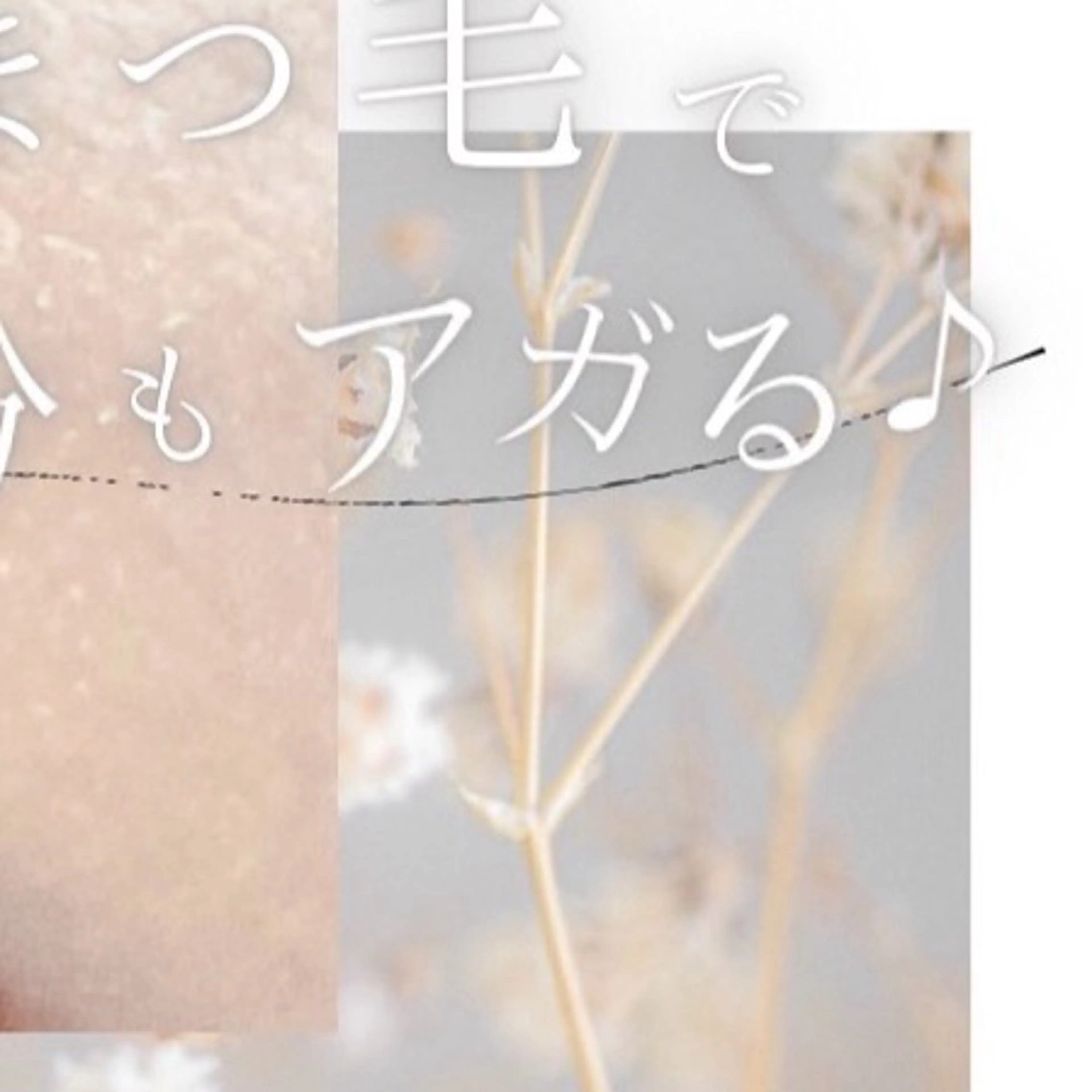 マツエク・マツパ マツパ 大人の為のデザイン 🫧Misuzuの眉毛・アイブロウイメージ