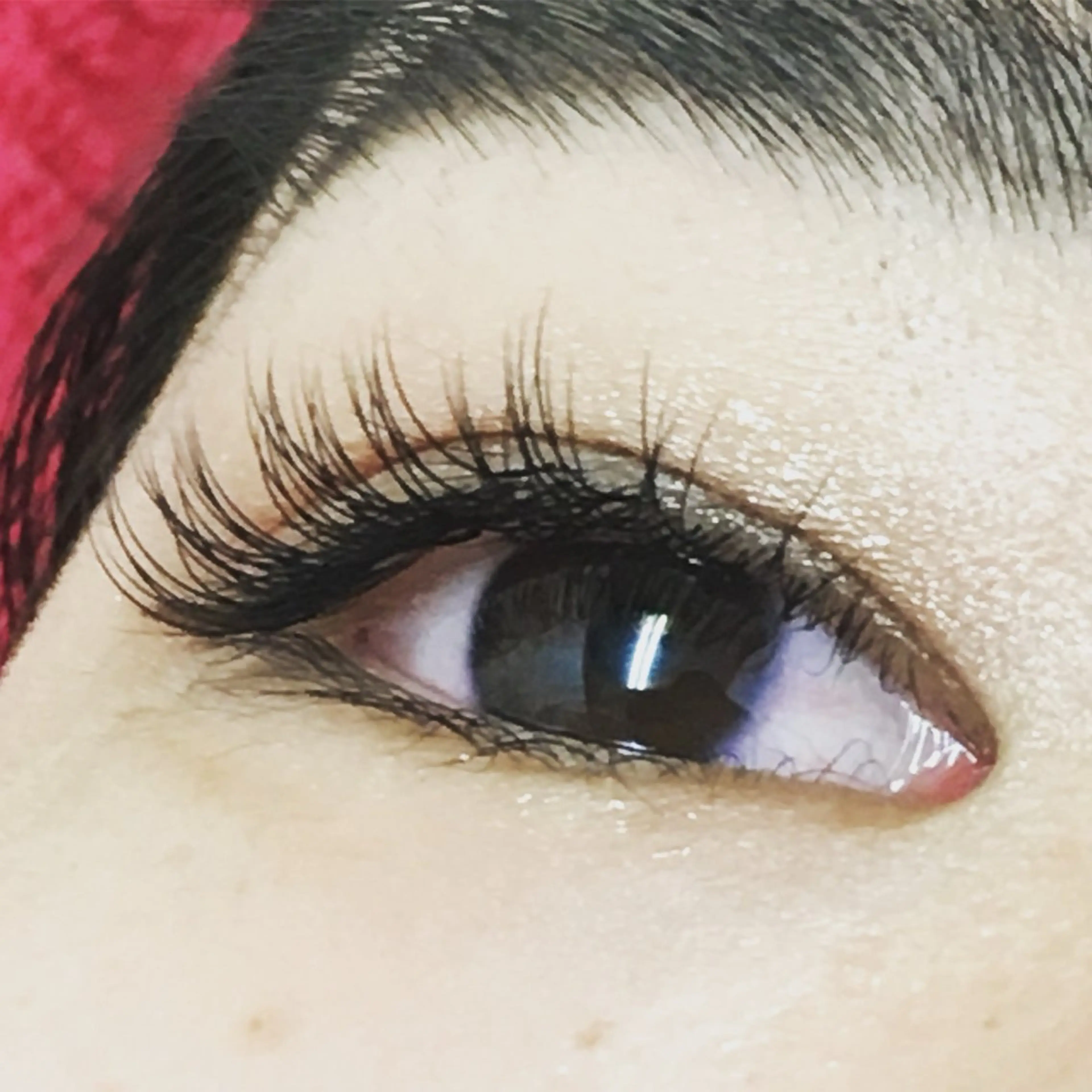 【10月6日・20日を選んで下さい】プレゼント付　フラットラッシュ（マット）セーブル　100本の写真