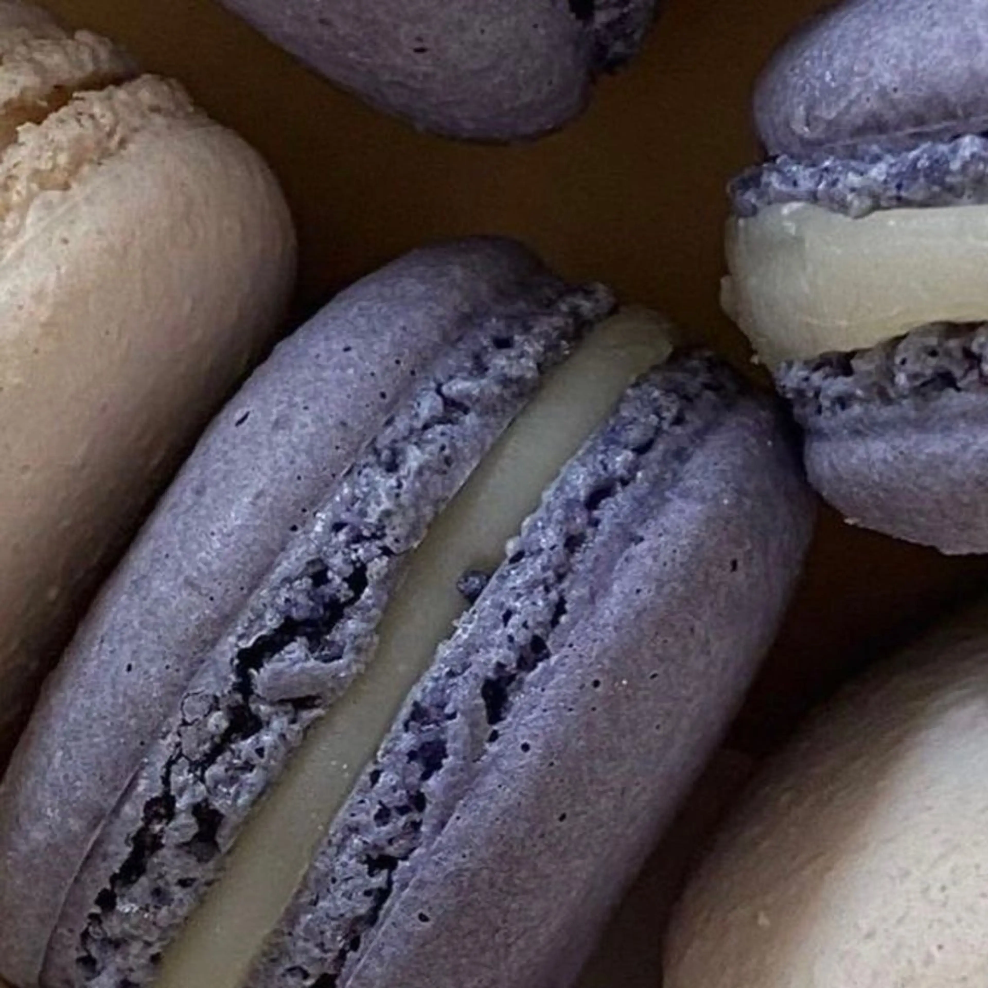 IwAsh  大和駅店所属・shiho .のヘアスタイル