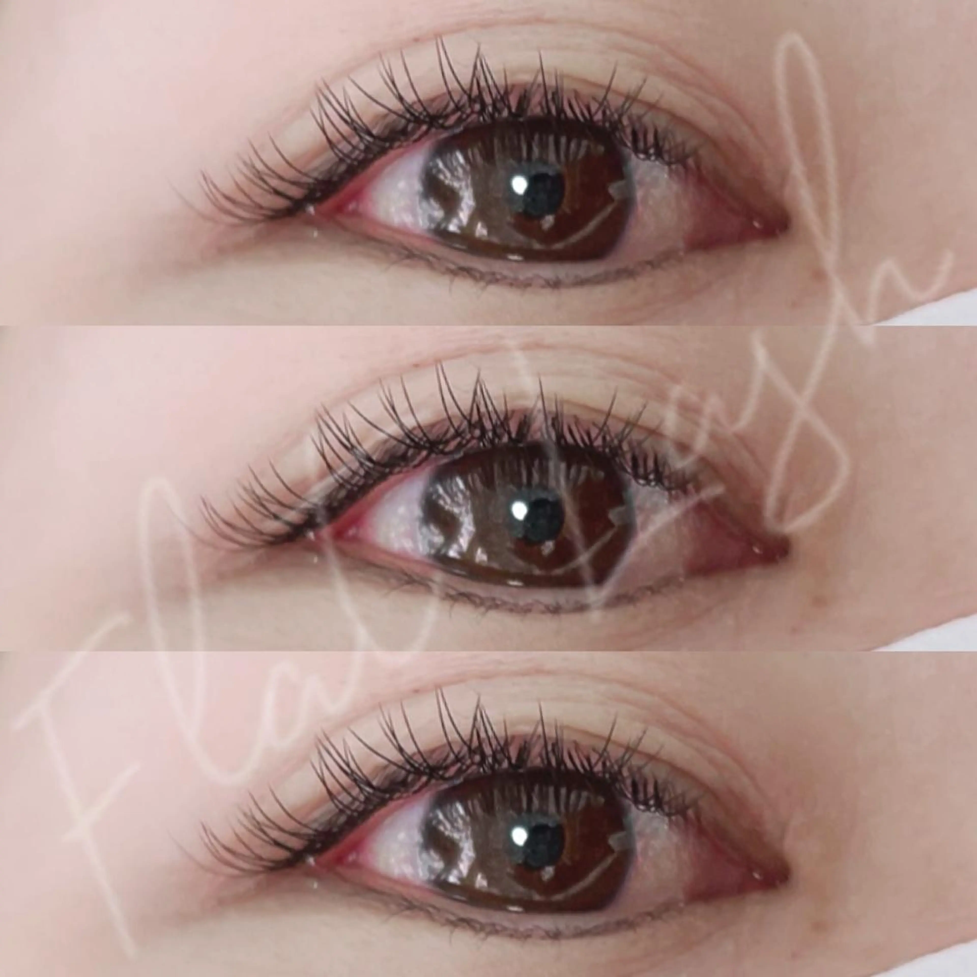 マツエク・マツパ マツエク 【Aile】 YUKAのマツエク・マツパデザイン