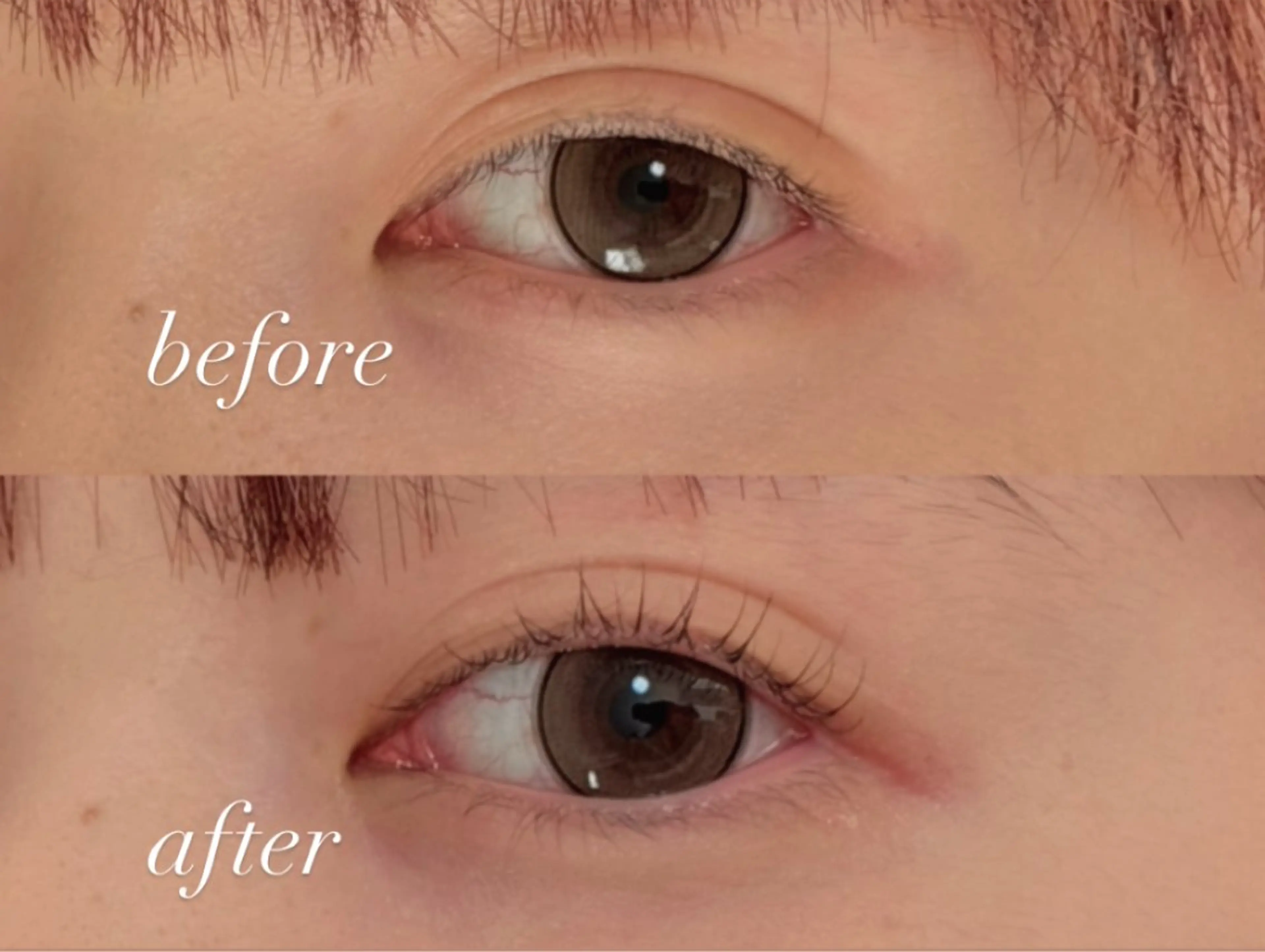 SNS掲載OK まつげパーマの写真