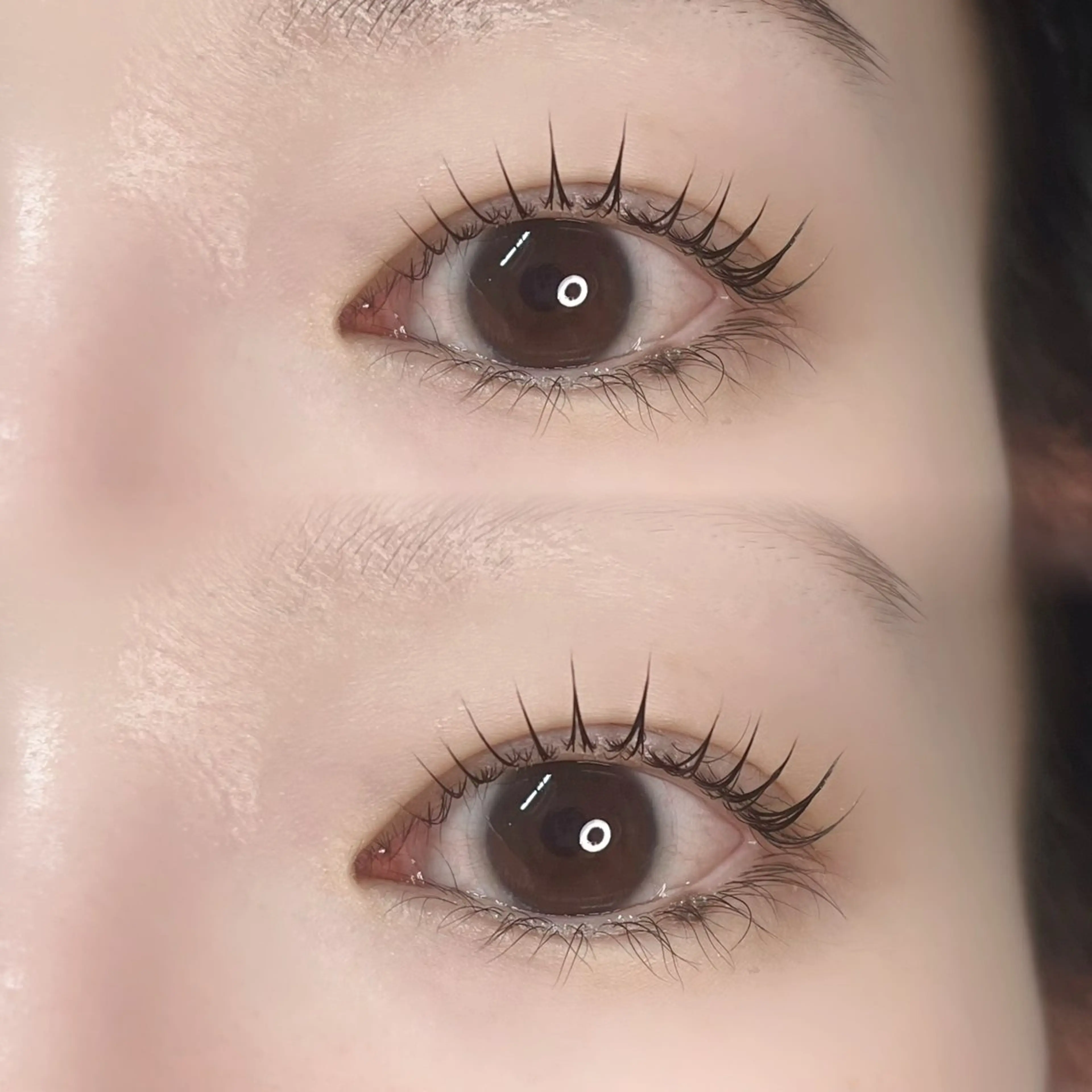 マツエク・マツパ DL•BEAUTY / 『MONE』のマツエク・マツパデザイン