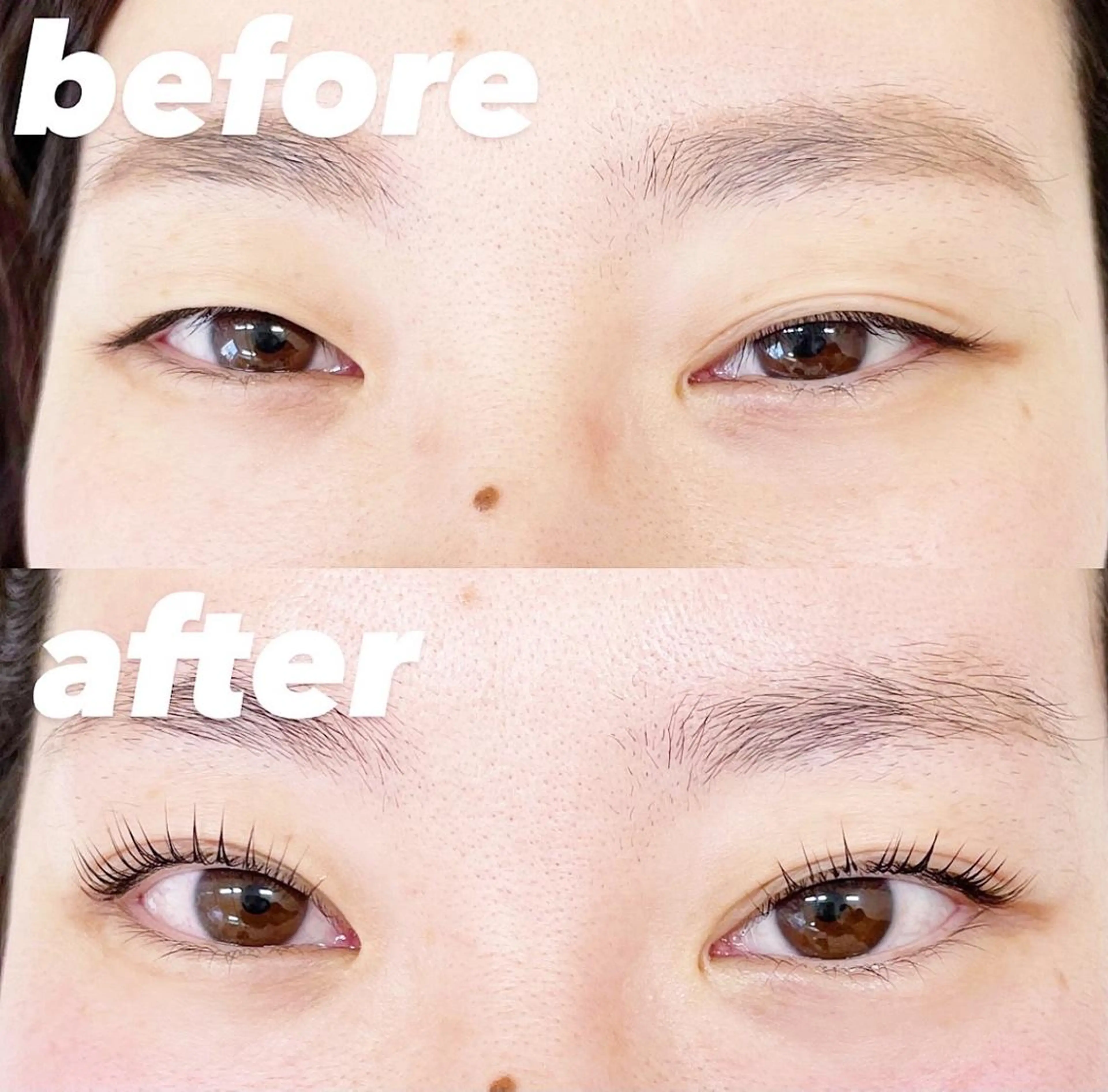 マツエク・マツパ まつ毛と眉毛専門店 eny柏店のマツエク・マツパデザイン