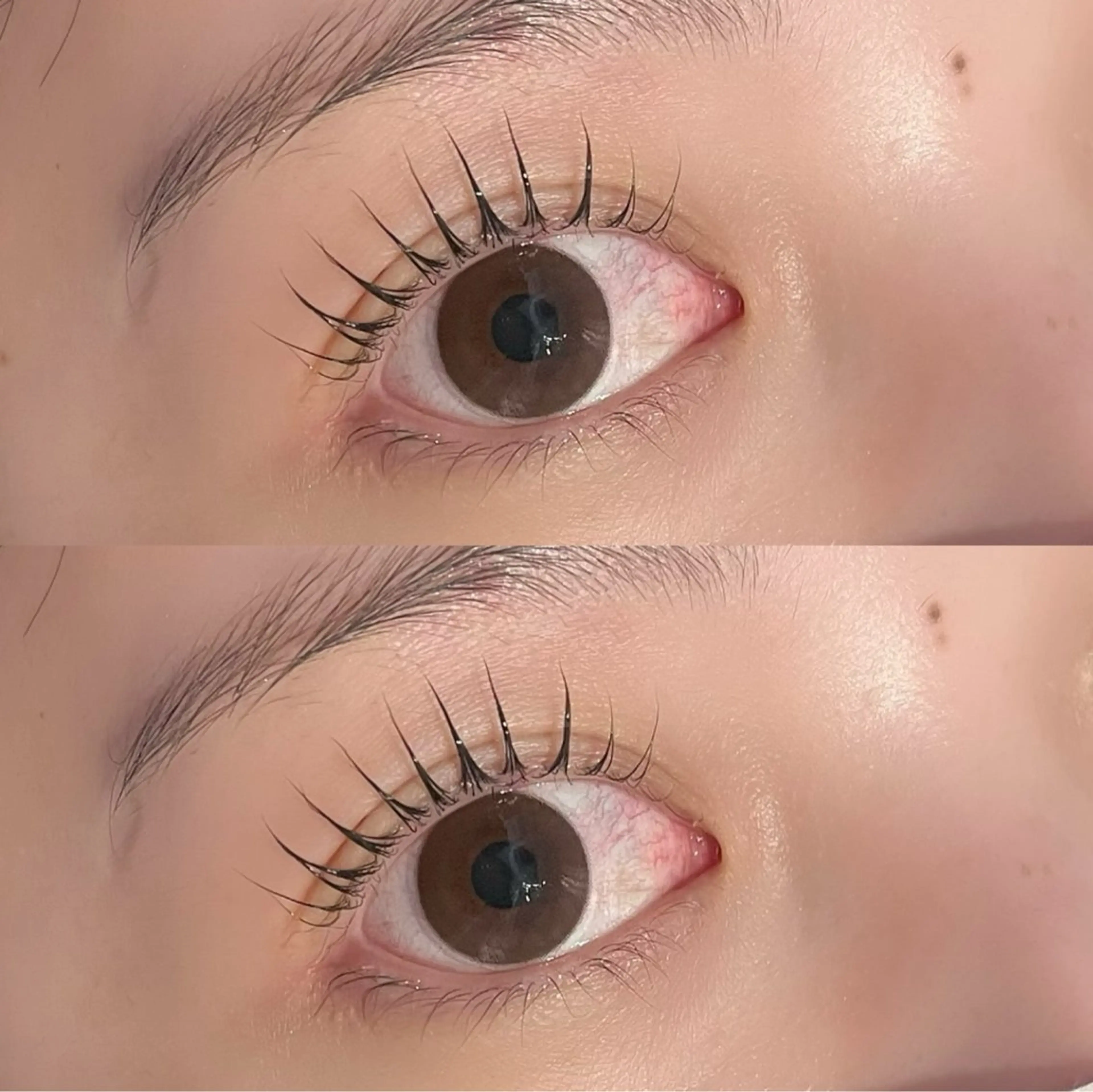 ご新規様　❤︎パリジェンヌラッシュリフト❤︎の写真