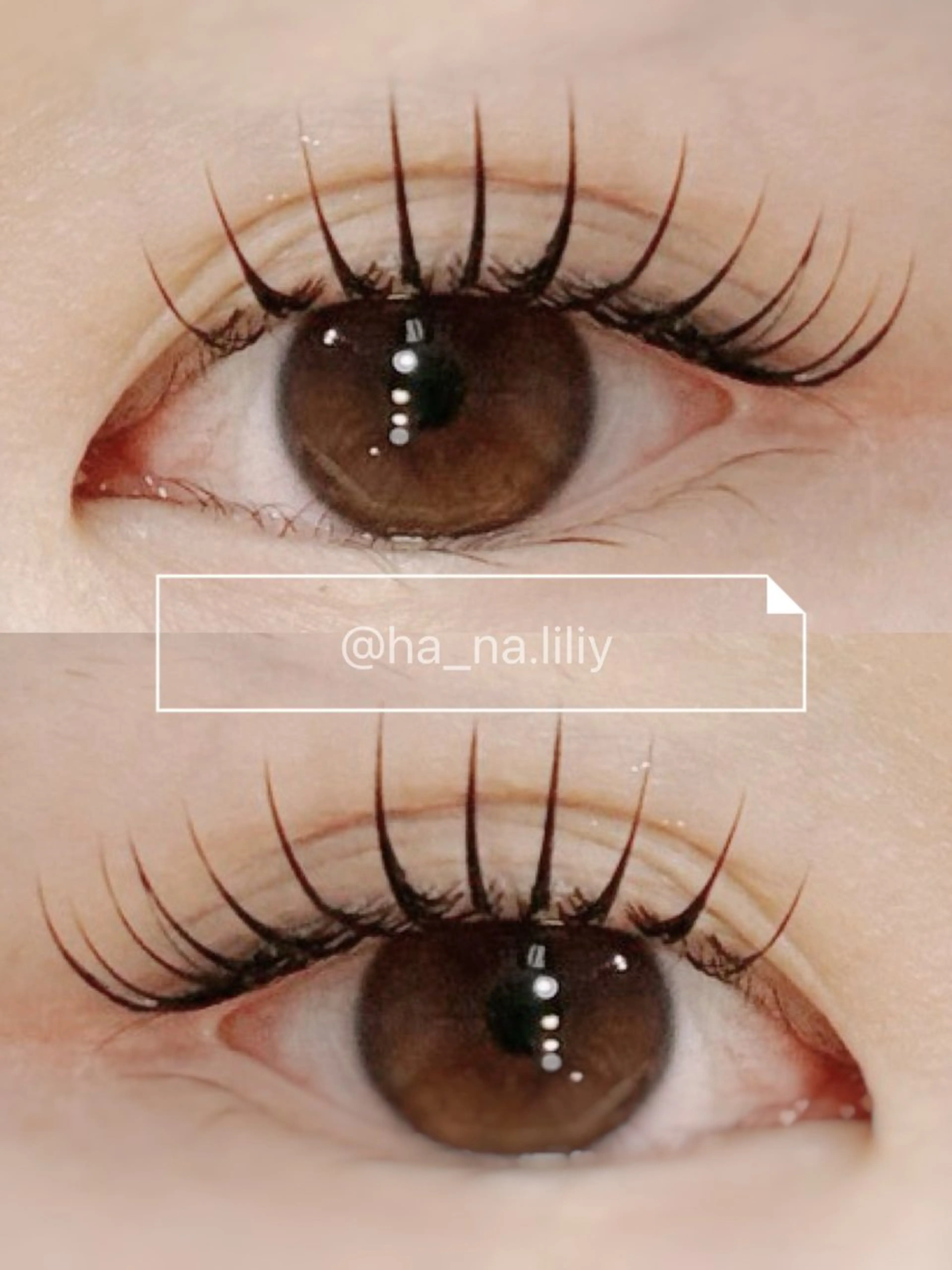 マツエク・マツパ Liliy所属・hana [Liliy］のマツエク・マツパデザイン