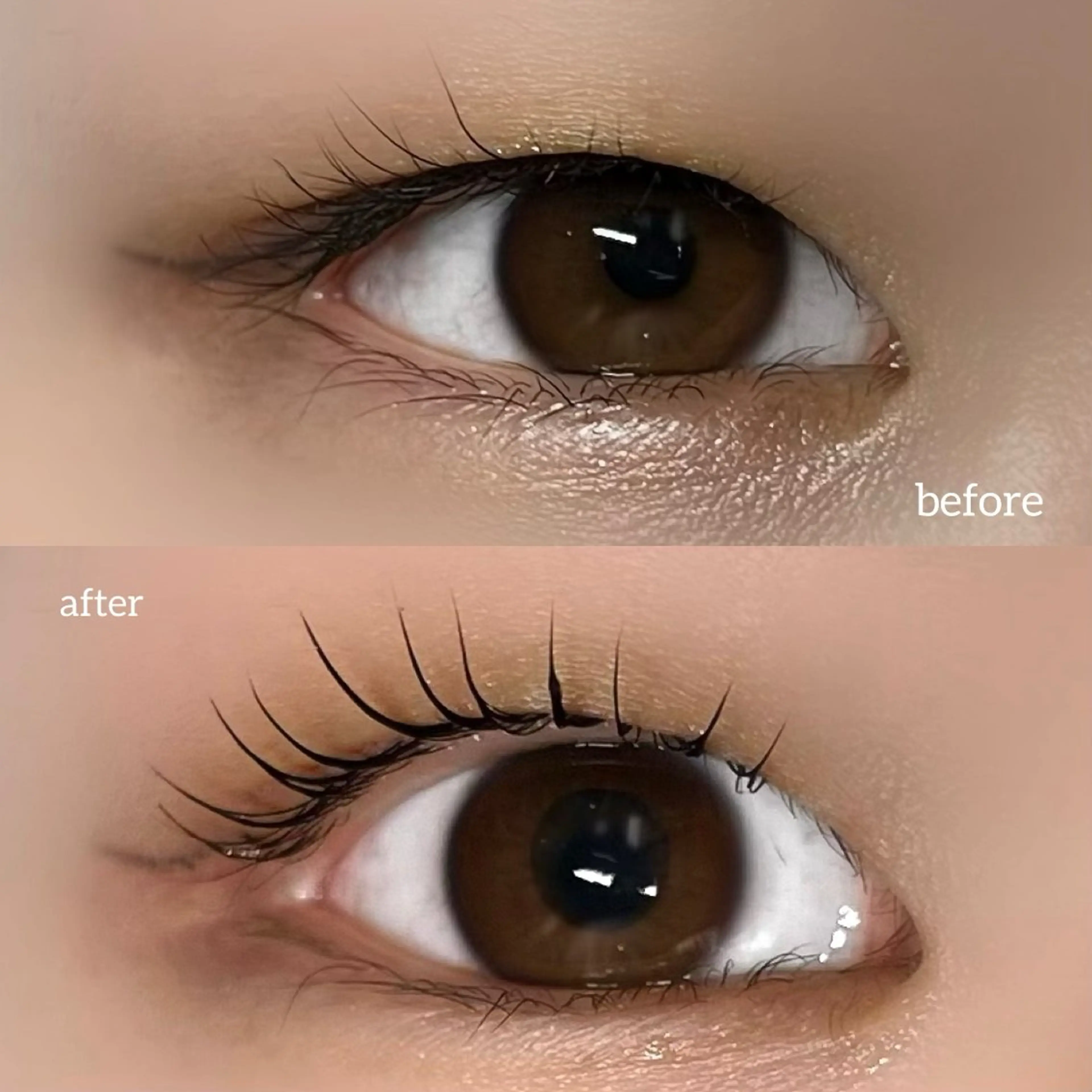 マツエク・マツパ 垢抜け眉WAX専門 ちゅるんまつげ|鎌倉の眉毛・アイブロウイメージ