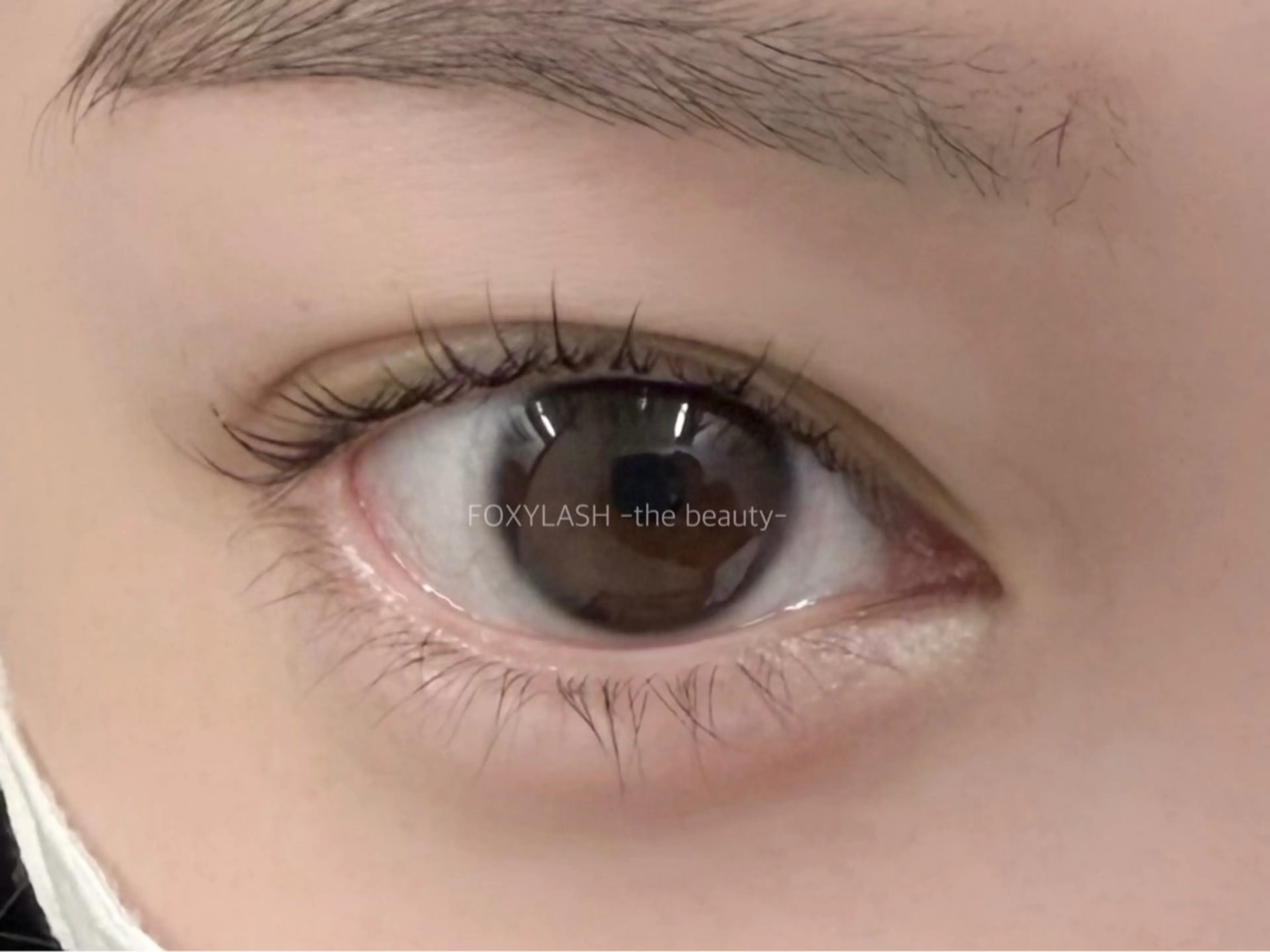 マツエク・マツパ パリジェンヌラッシュリフト マツパ FOXYLASH難波 sasakiのマツエク・マツパデザイン