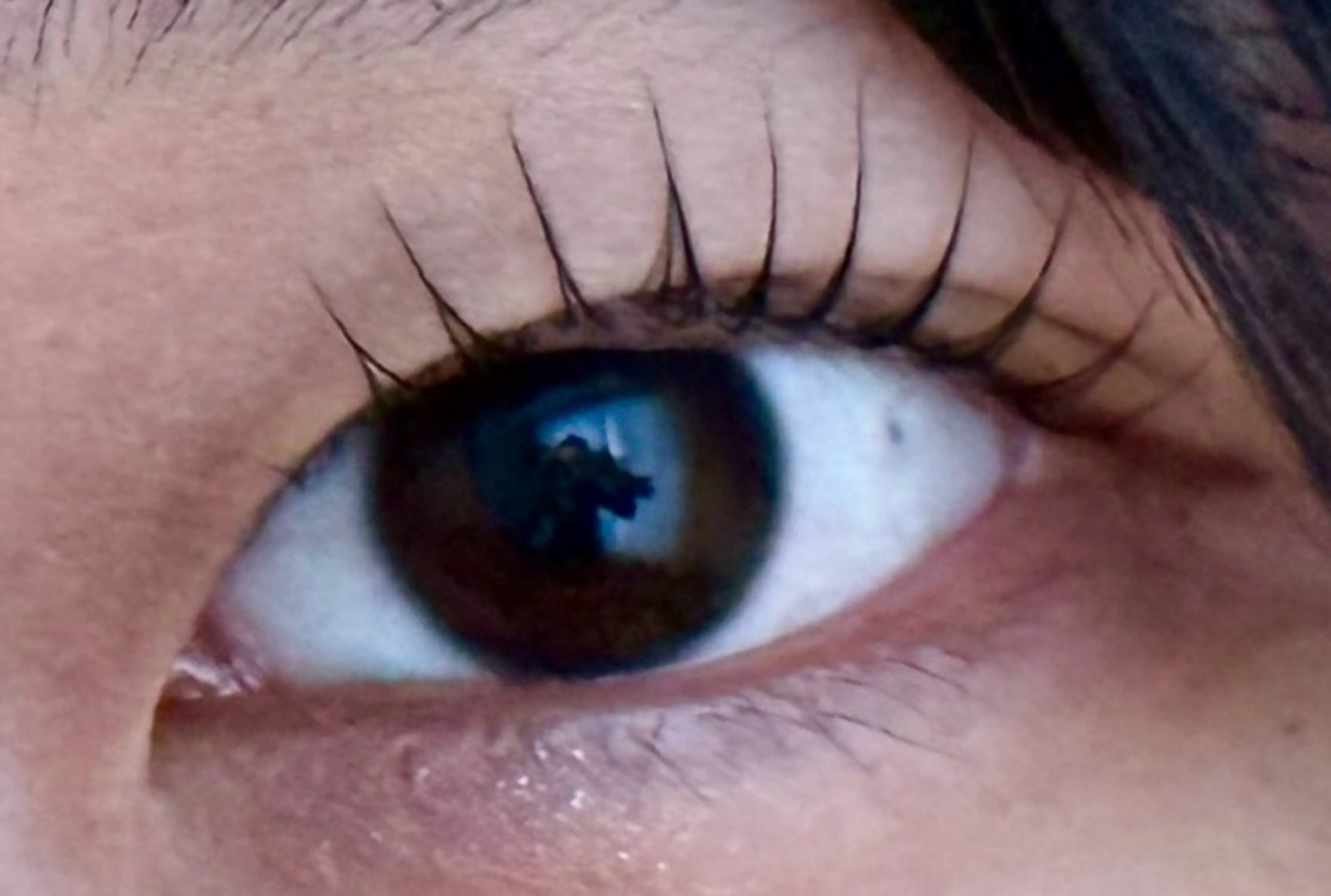 マツエク・マツパ Venus Beauty銀座のマツエク・マツパデザイン