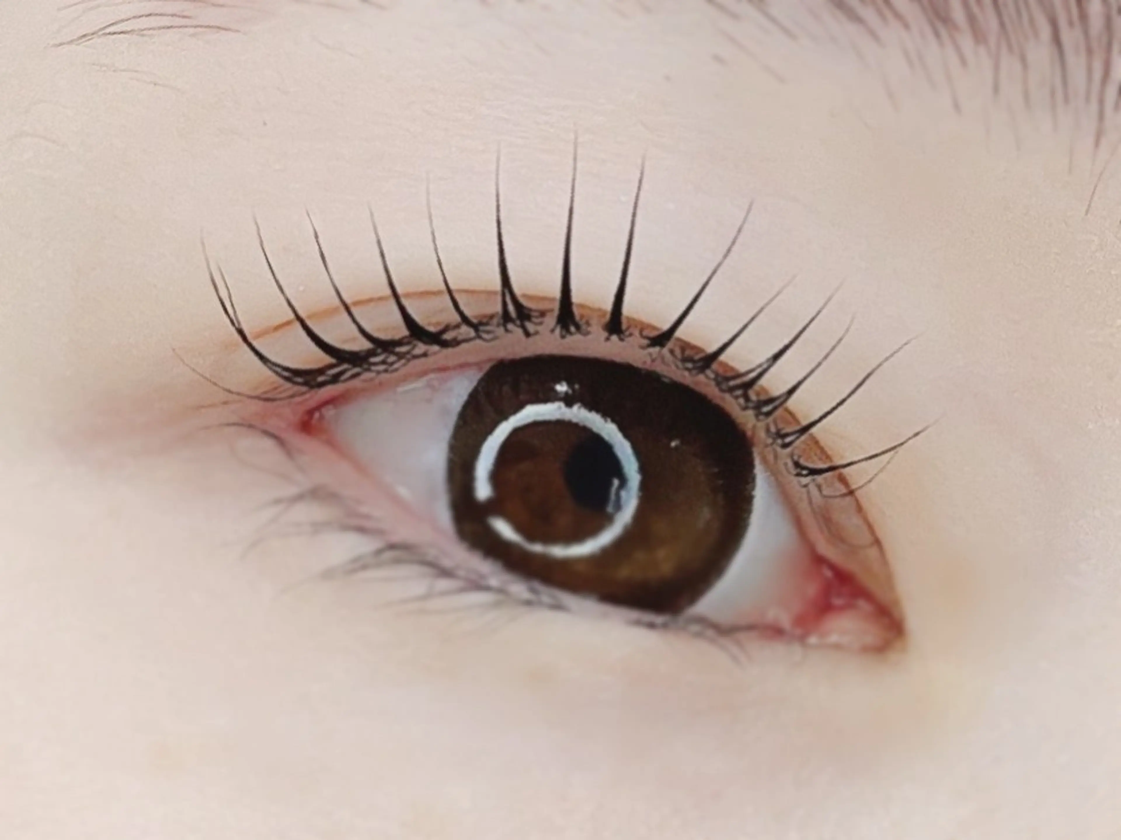 マツエク・マツパ Lil'Garden所属・nail&eye Lil'Gardenのマツエク・マツパデザイン