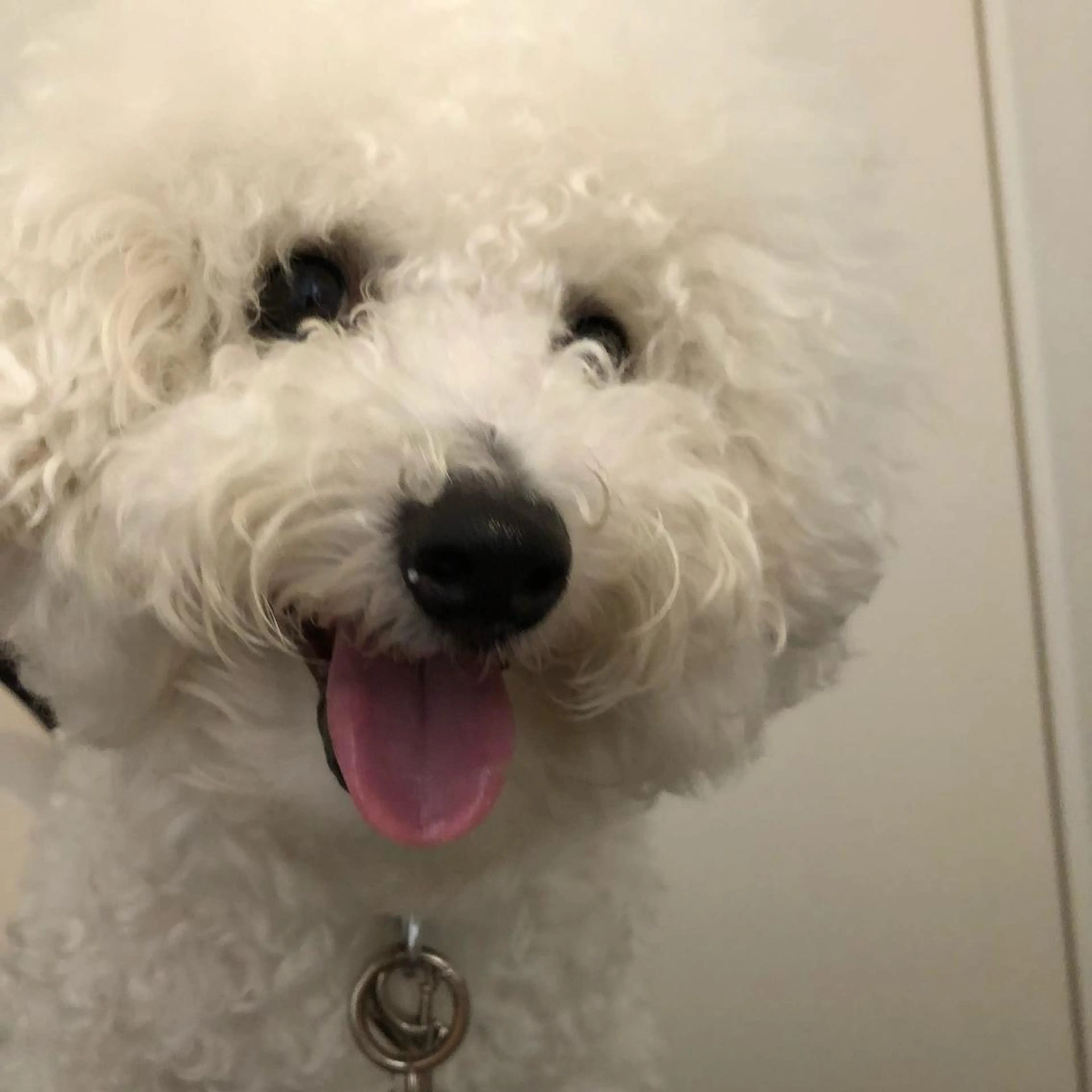 ネイル USAMiMi 🐰💕のネイルデザイン