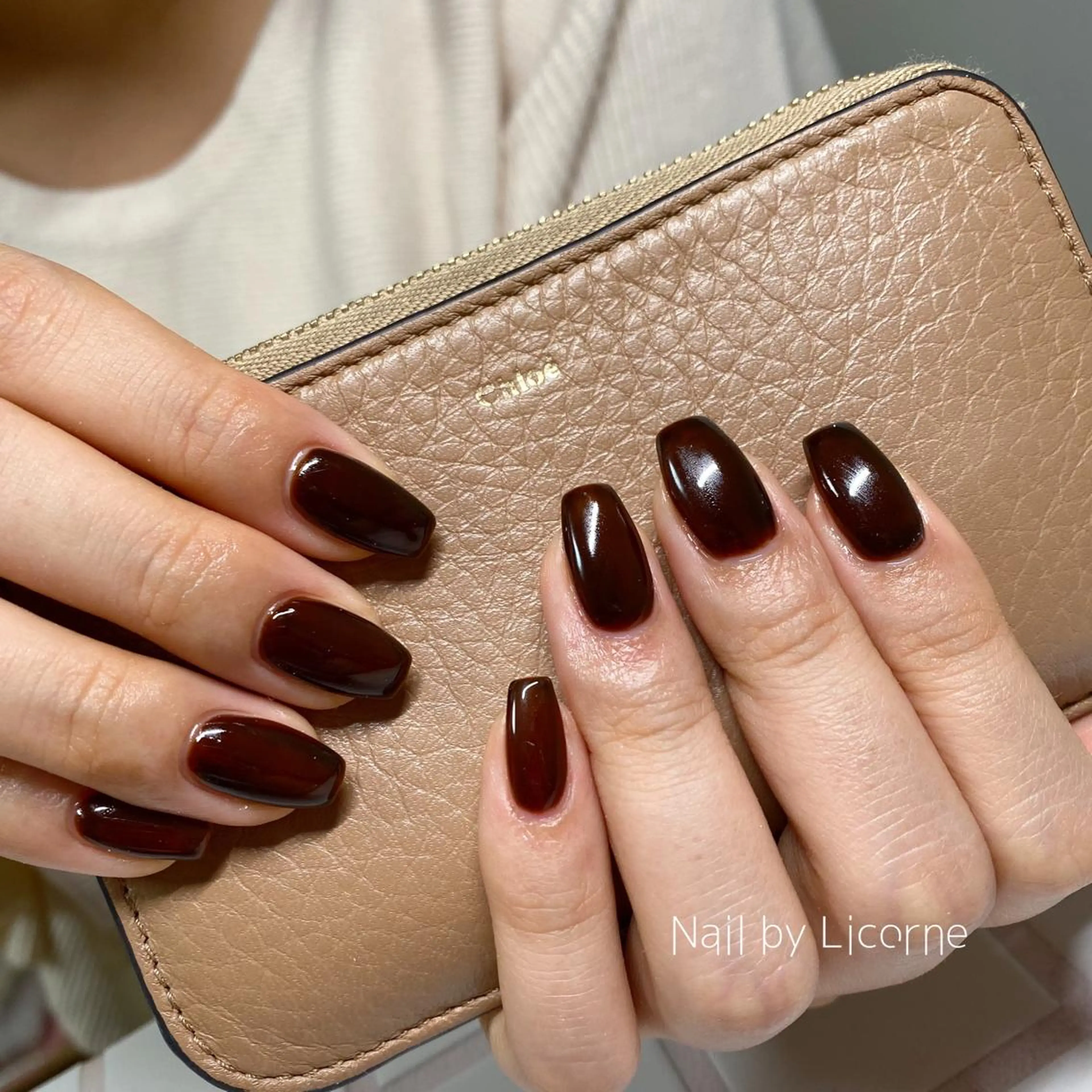 ネイル アートネイル オーロラネイル フレンチネイル 氷ネイル・うるうるネイル マグネットネイル ハンドネイル Nail by Licorneのネイルデザイン