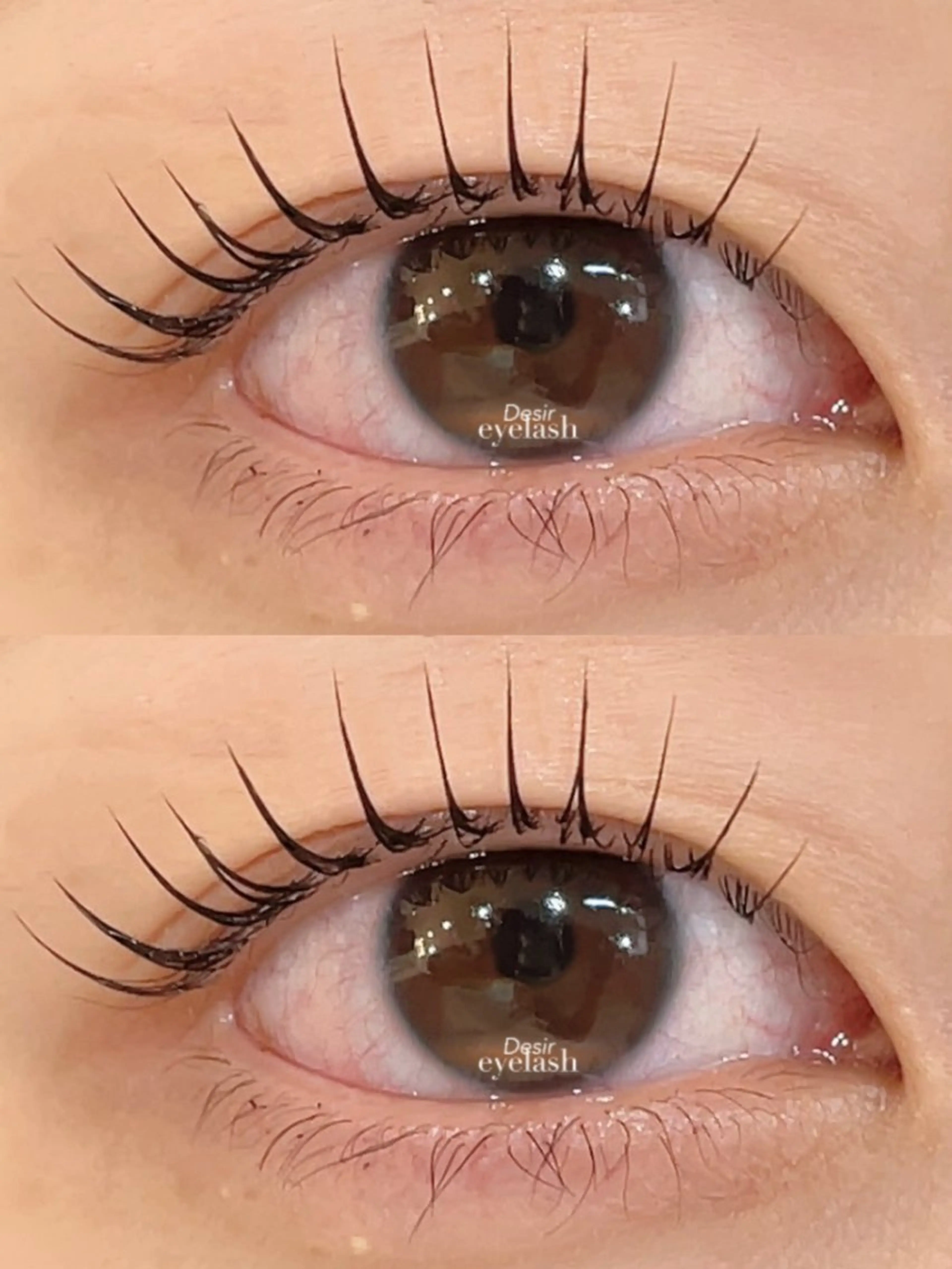 マツエク・マツパ マツパ 🌹ブリランテ🌹 大人気店のマツエク・マツパデザイン