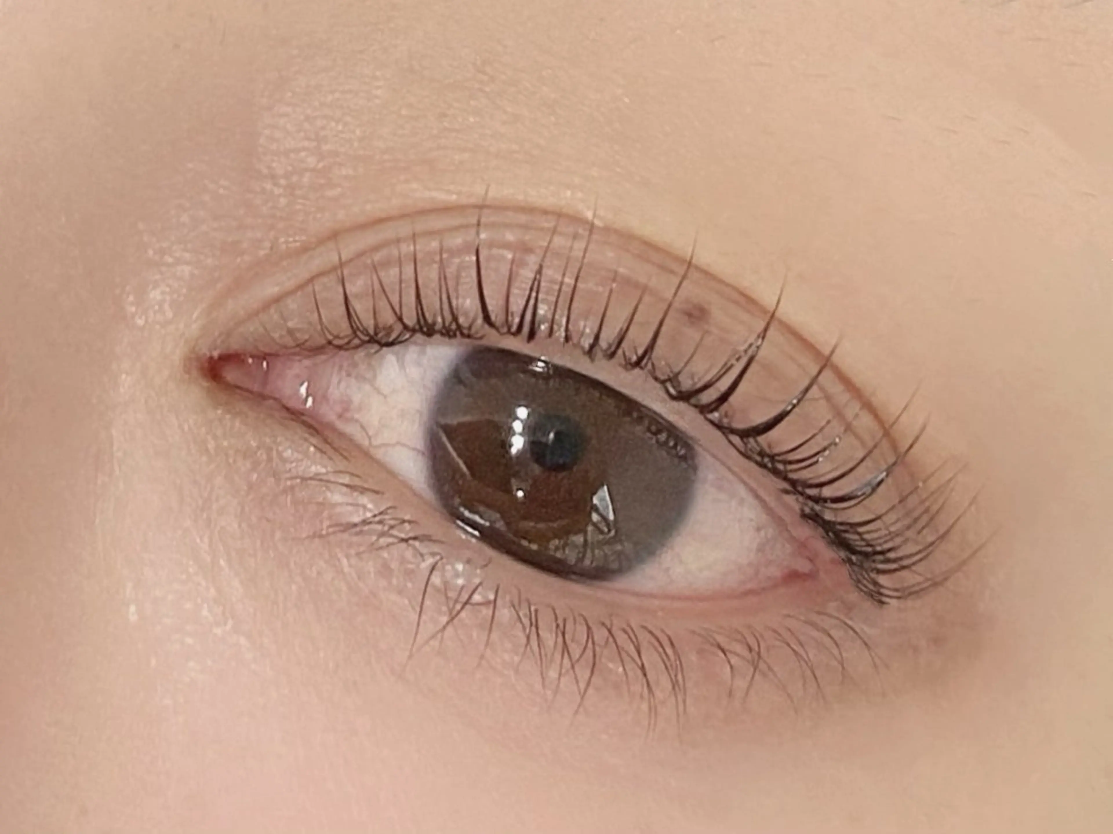 マツエク・マツパ パリジェンヌラッシュリフト マツパ 💎マツエク/眉毛 パリジェンヌ渋谷💎の眉毛・アイブロウイメージ