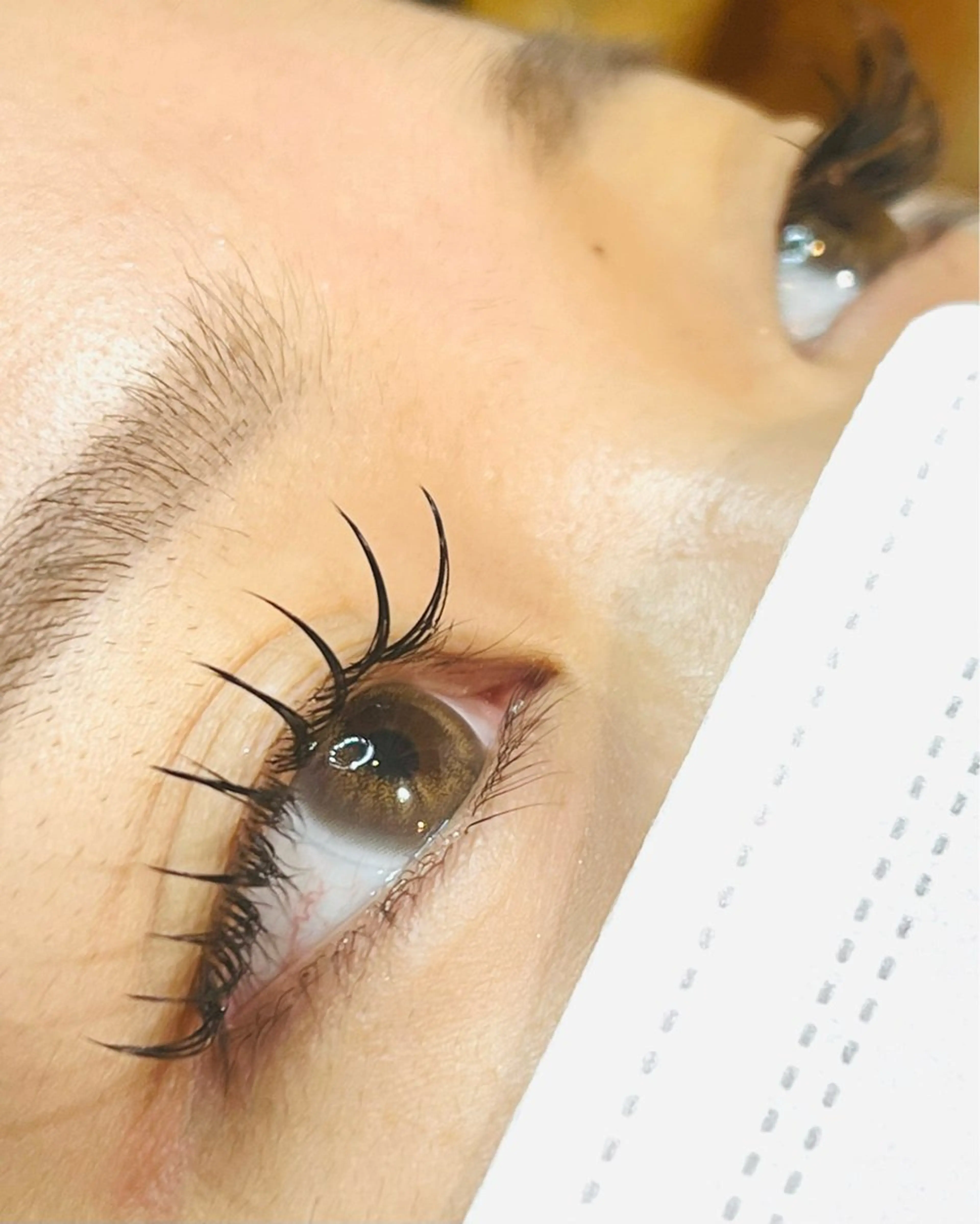 【ミニモ限定】フラットラッシュ付け放題★LED同価格の写真