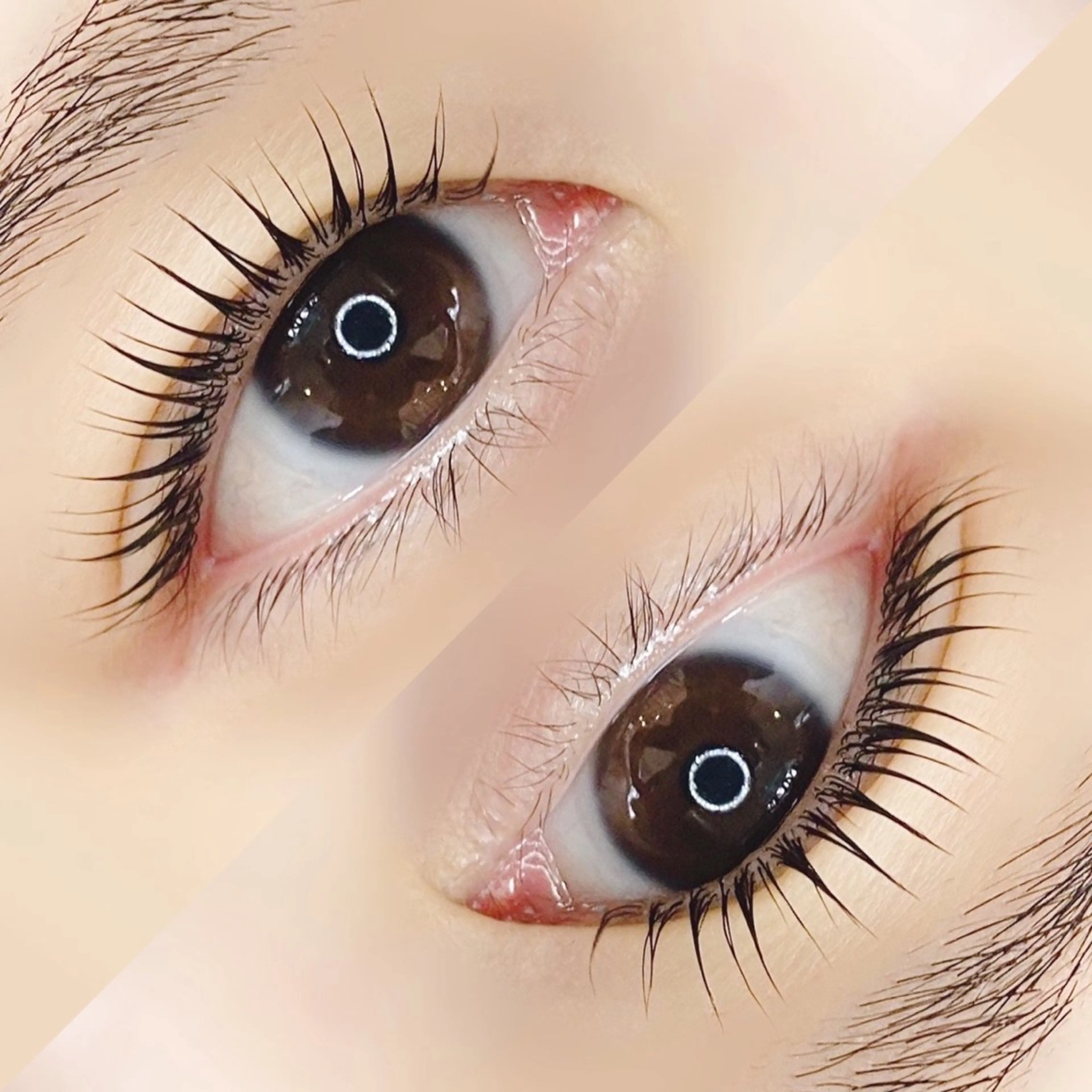 マツエク・マツパ 吉田 芽生のヘアスタイル