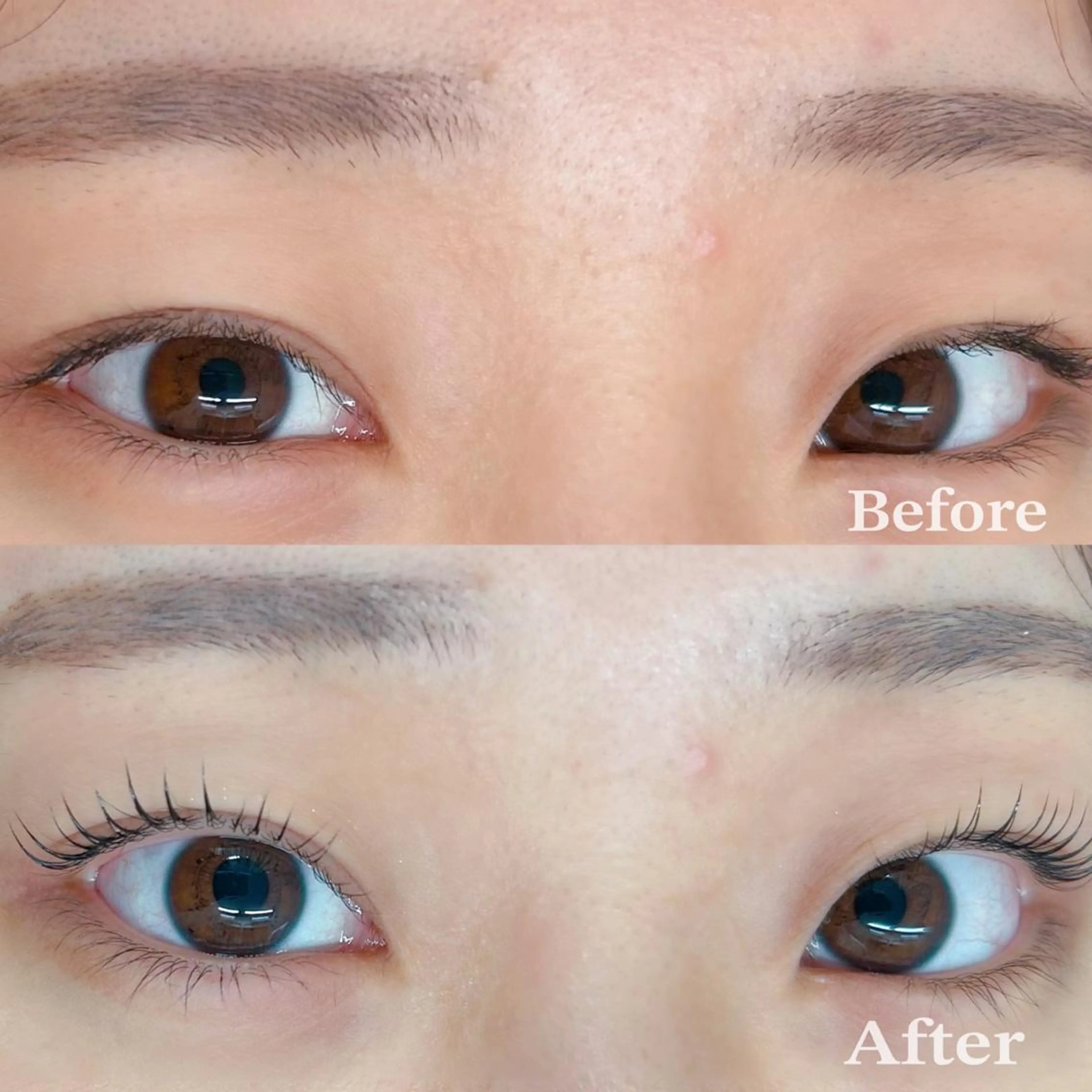 マツエク・マツパ マツパ GALN 🎀 yumi パリエクのマツエク・マツパデザイン