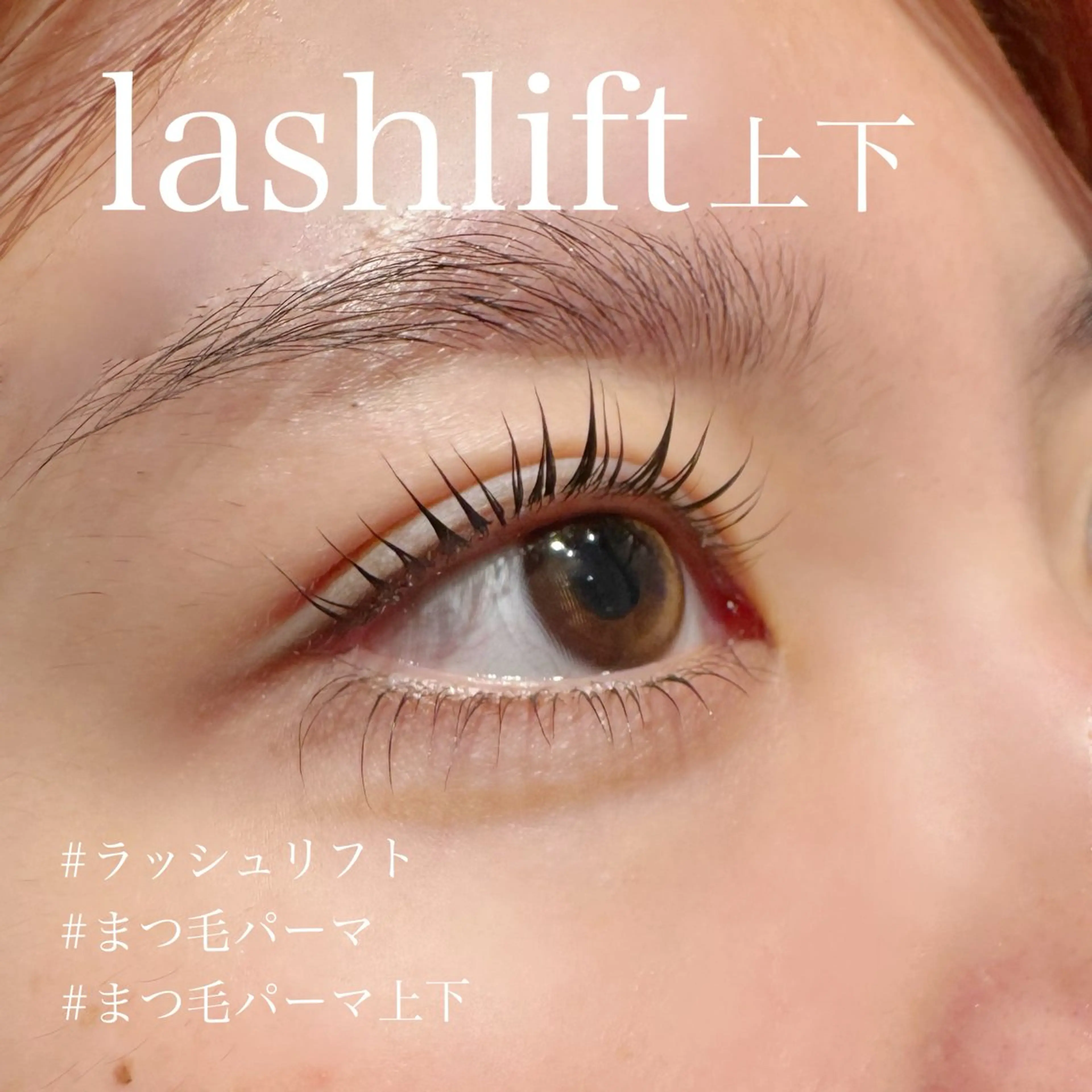 【ラッシュリフト(上下)】シャンプー&トリートメント付の写真