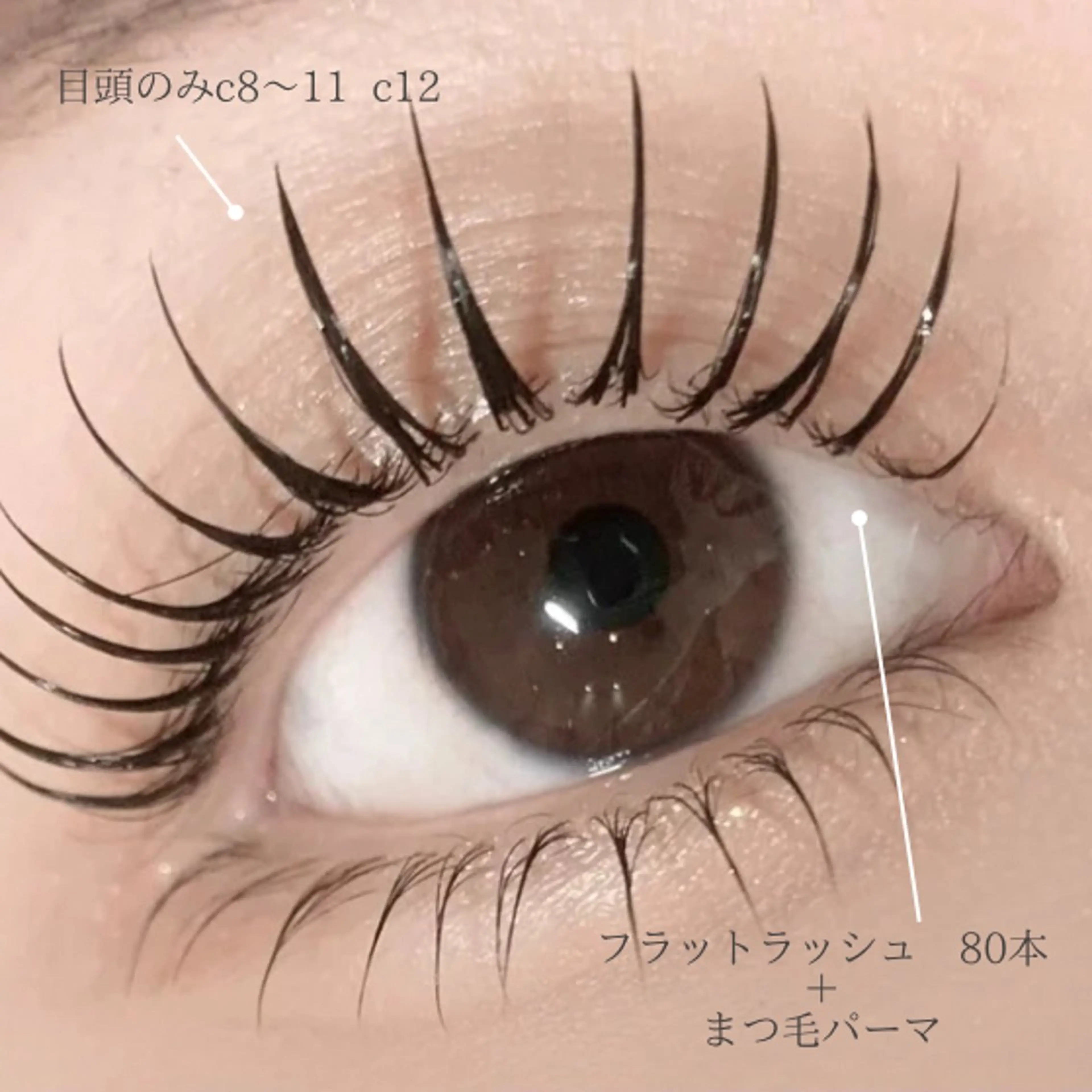 🤍LED80本🤍の写真