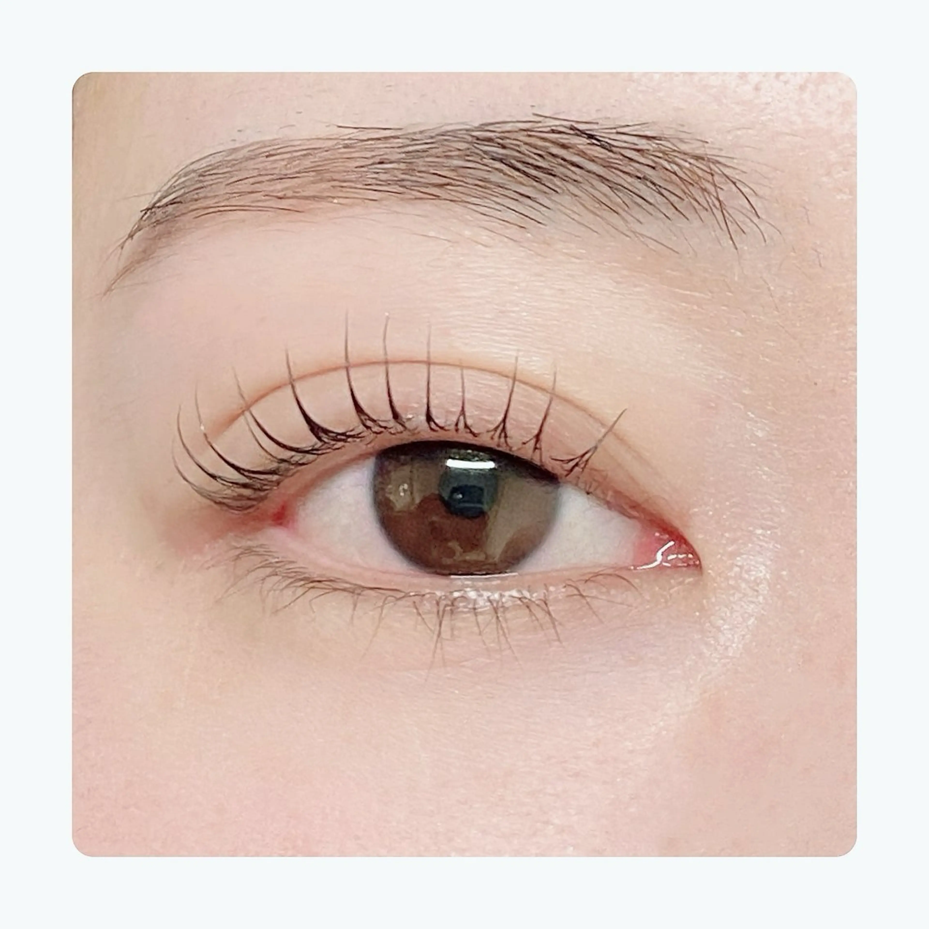 マツエク・マツパ まつげパーマ マツパ ARIA所属・ARIAプライベート サロン五反田のマツエク・マツパデザイン