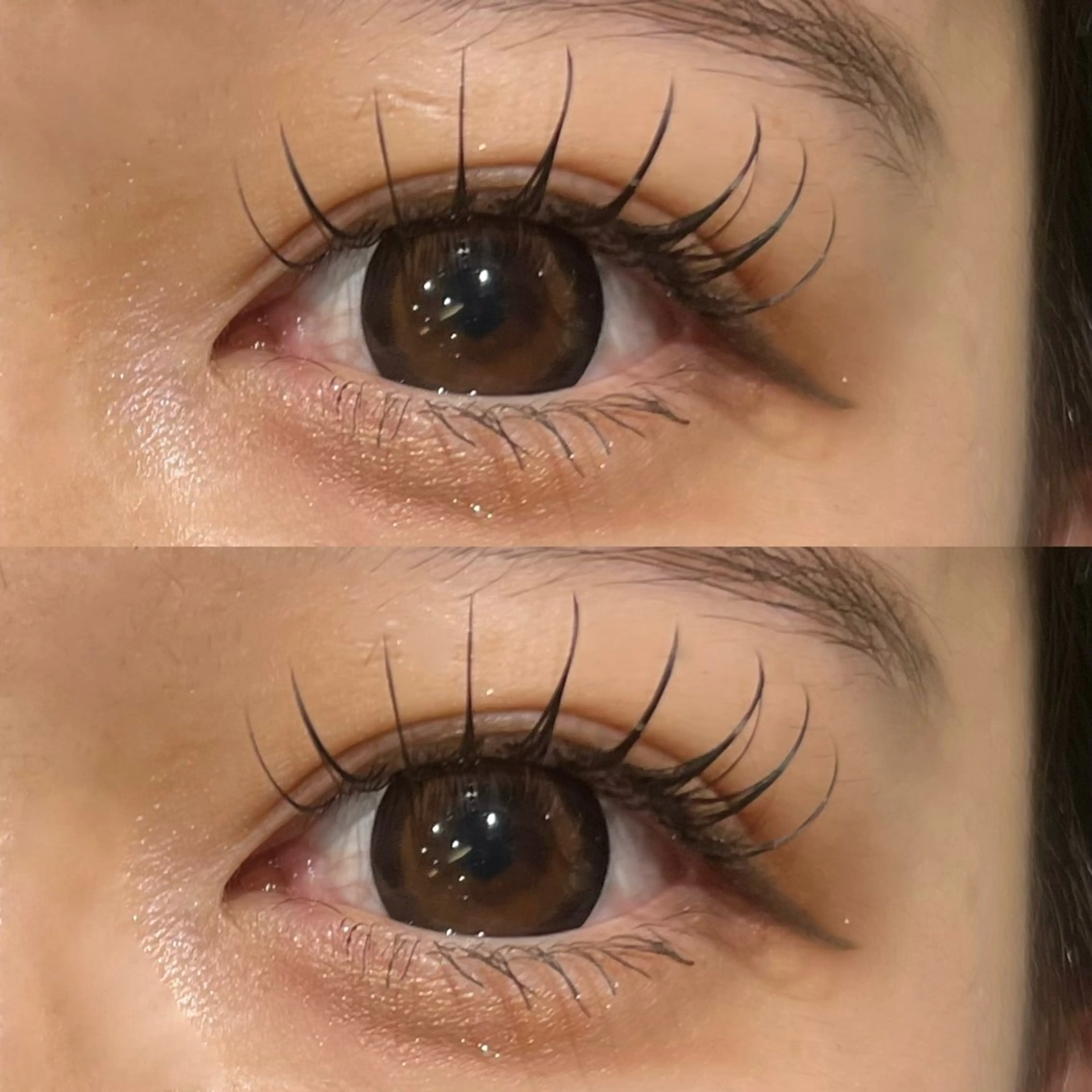 マツエク・マツパ CCカール Cカール フラットラッシュ マツエク 🌿ayaki🌿 en Reveのマツエク・マツパデザイン