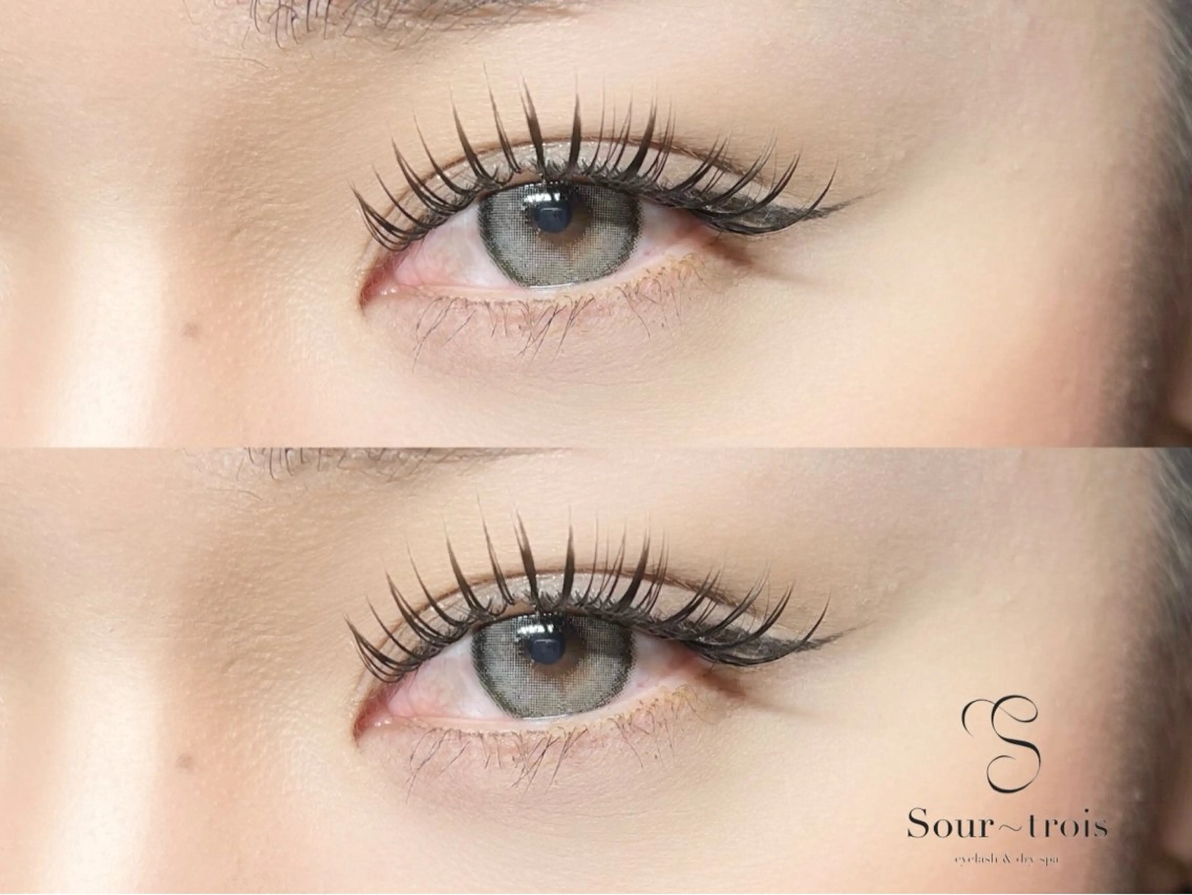 🖤バインドロック【120束】の写真