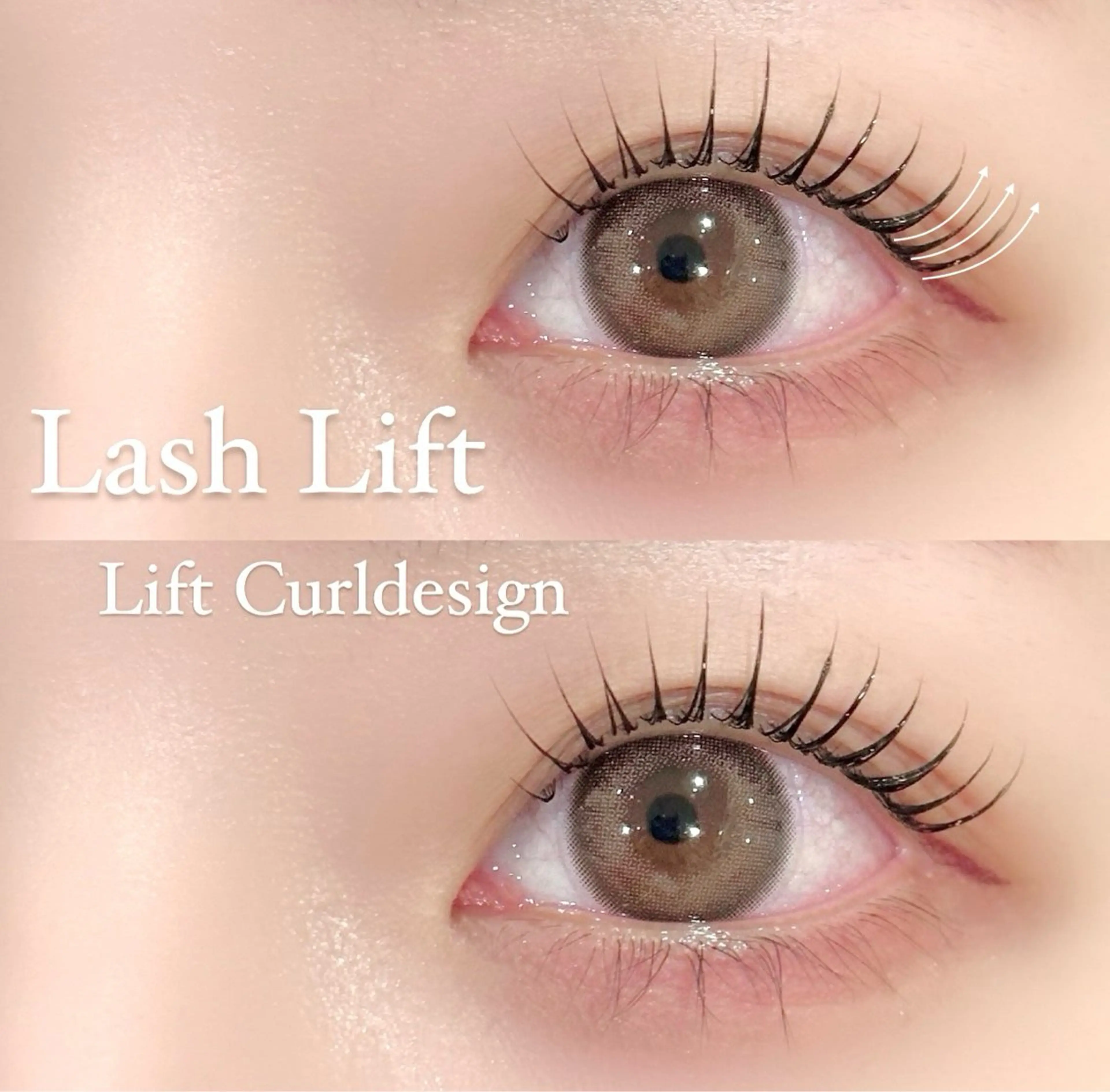 🫧Lash Liftの写真