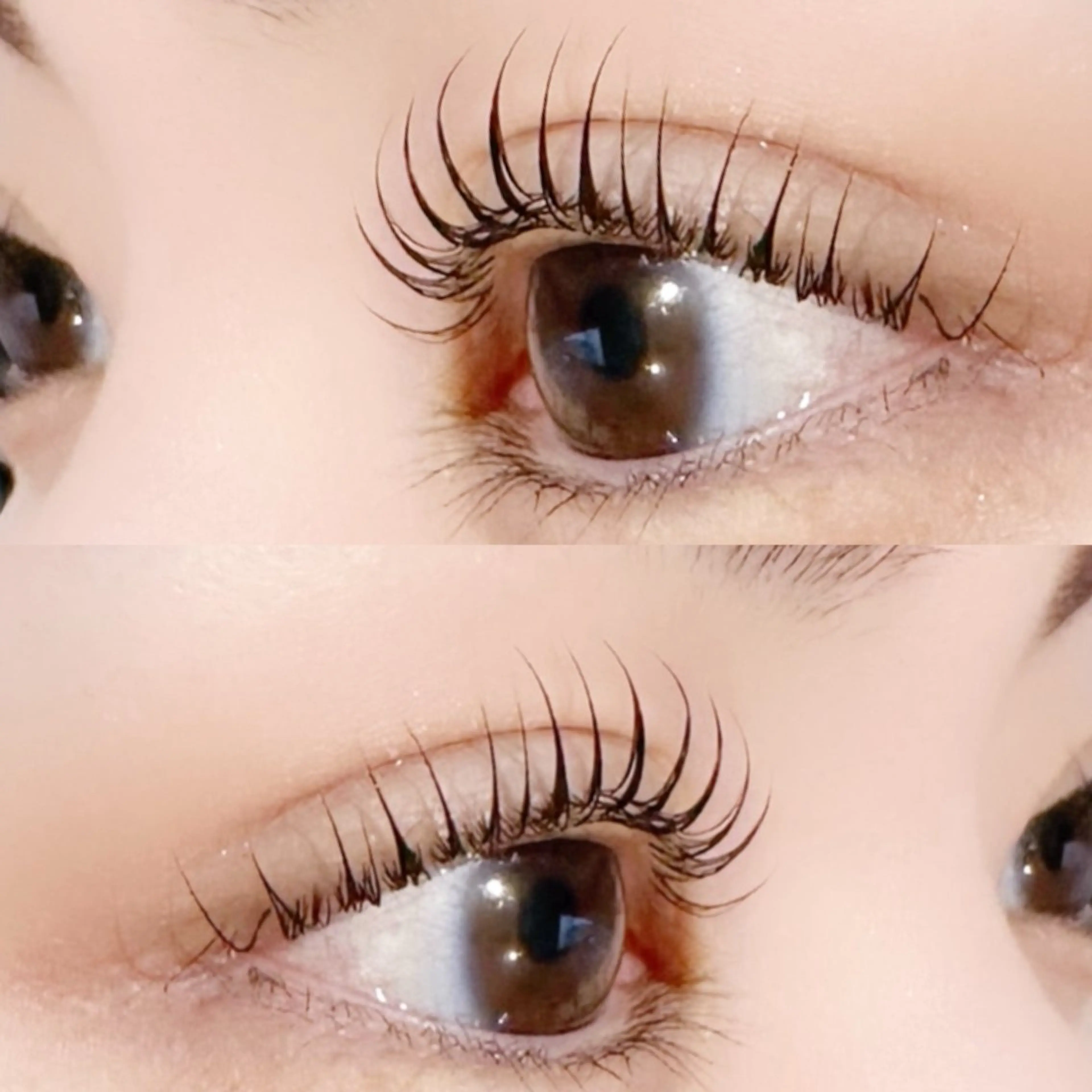 新規様　　▱似合わせまつげパーマ▱の写真