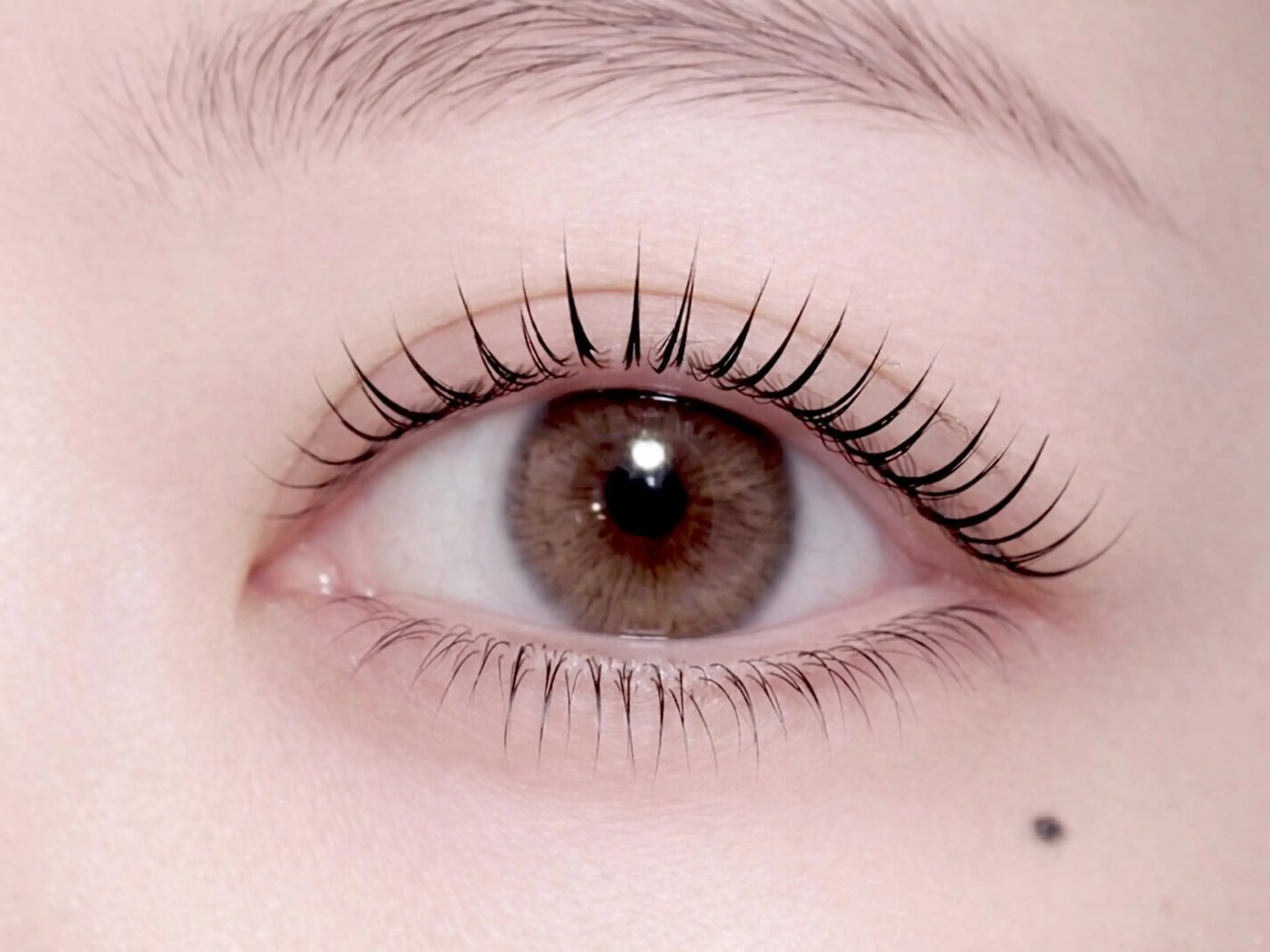 マツエク・マツパ Gn eye&nail room所属・まつ毛パーマ🤍美眉 yanoのマツエク・マツパデザイン