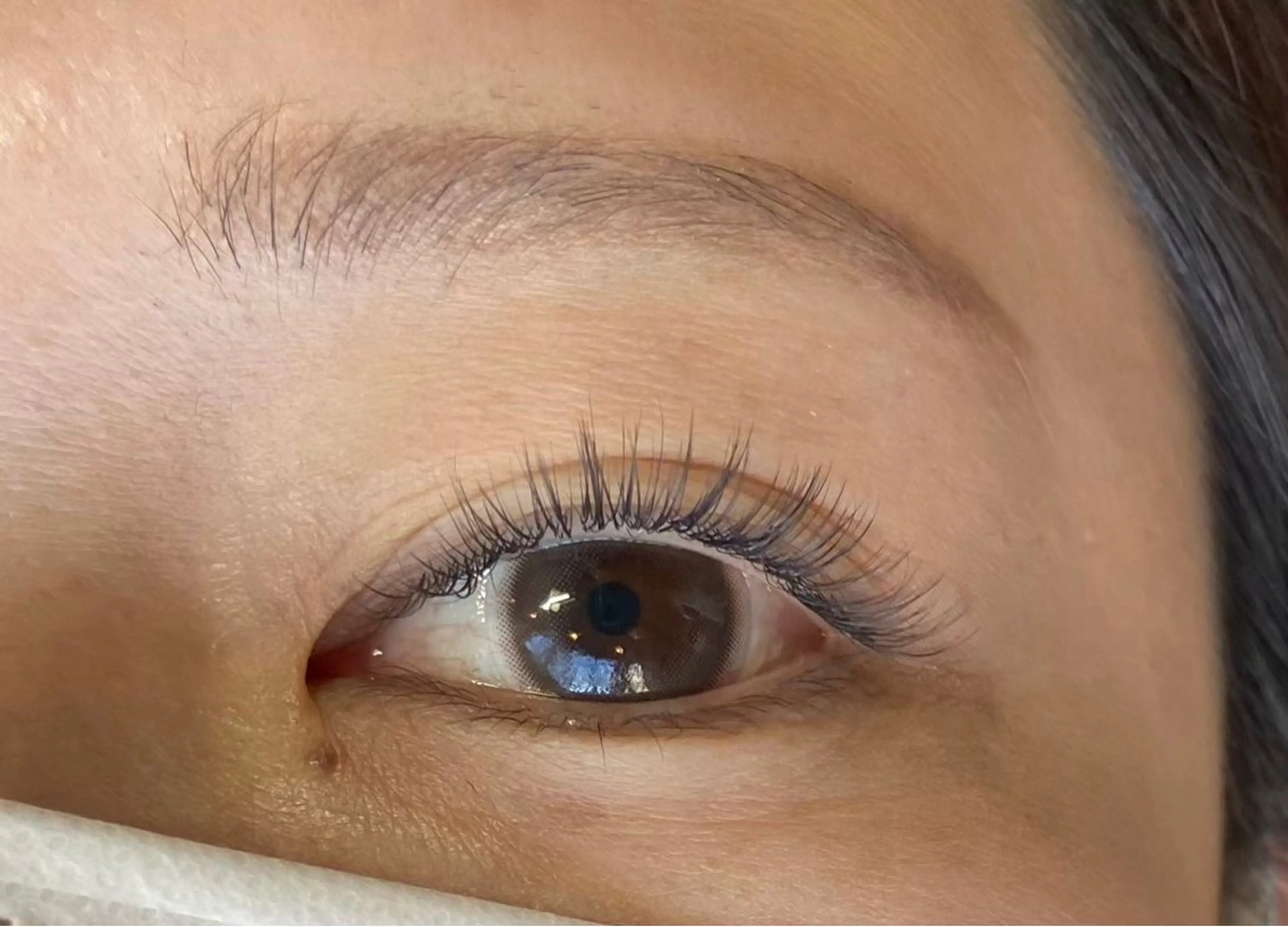 マツエク・マツパ Butterfly 🦋いのうえのその他イメージ