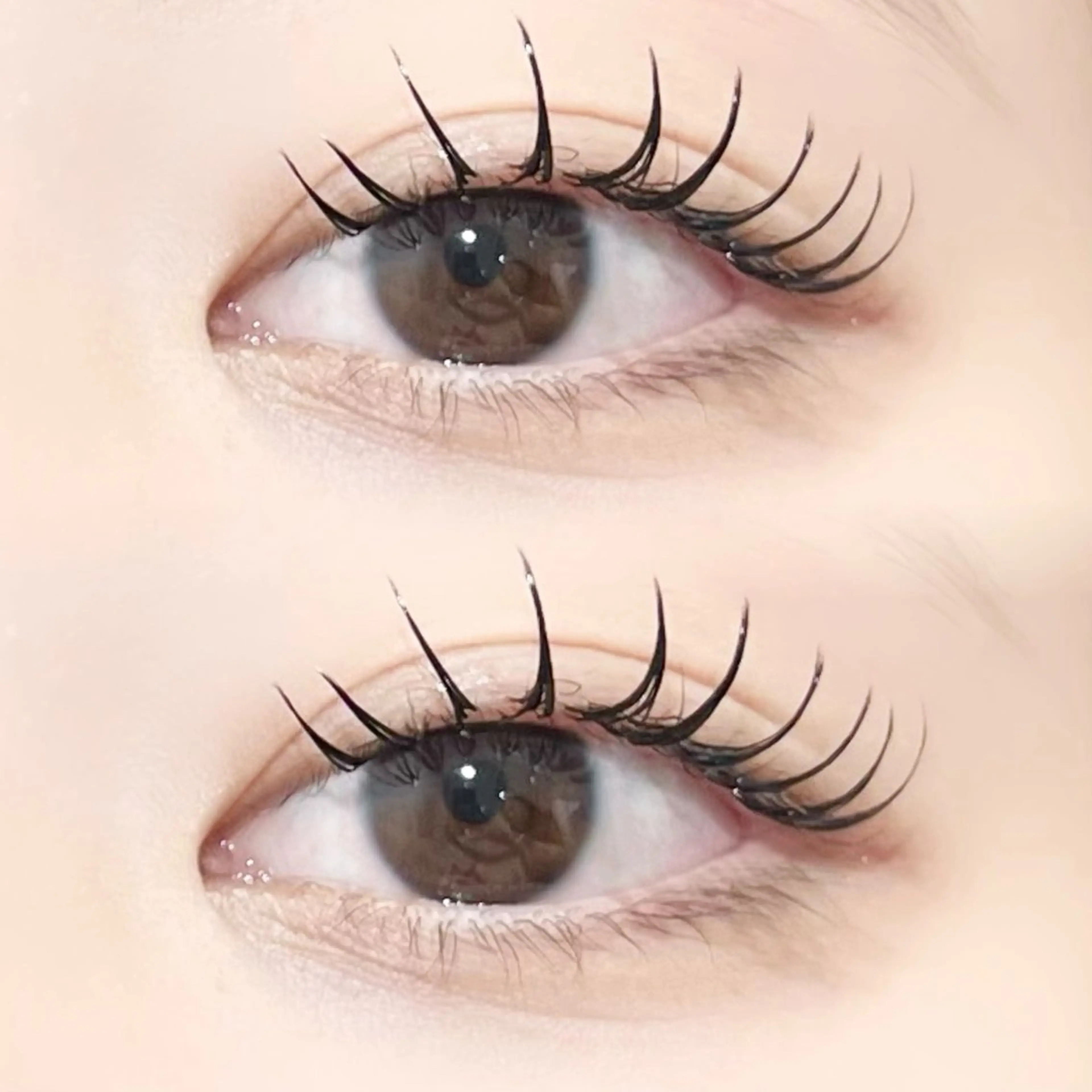 マツエク・マツパ 束感まつ毛 Cカール 🤍𐙚KONOHO 束感まつ毛𐙚🤍のマツエク・マツパデザイン