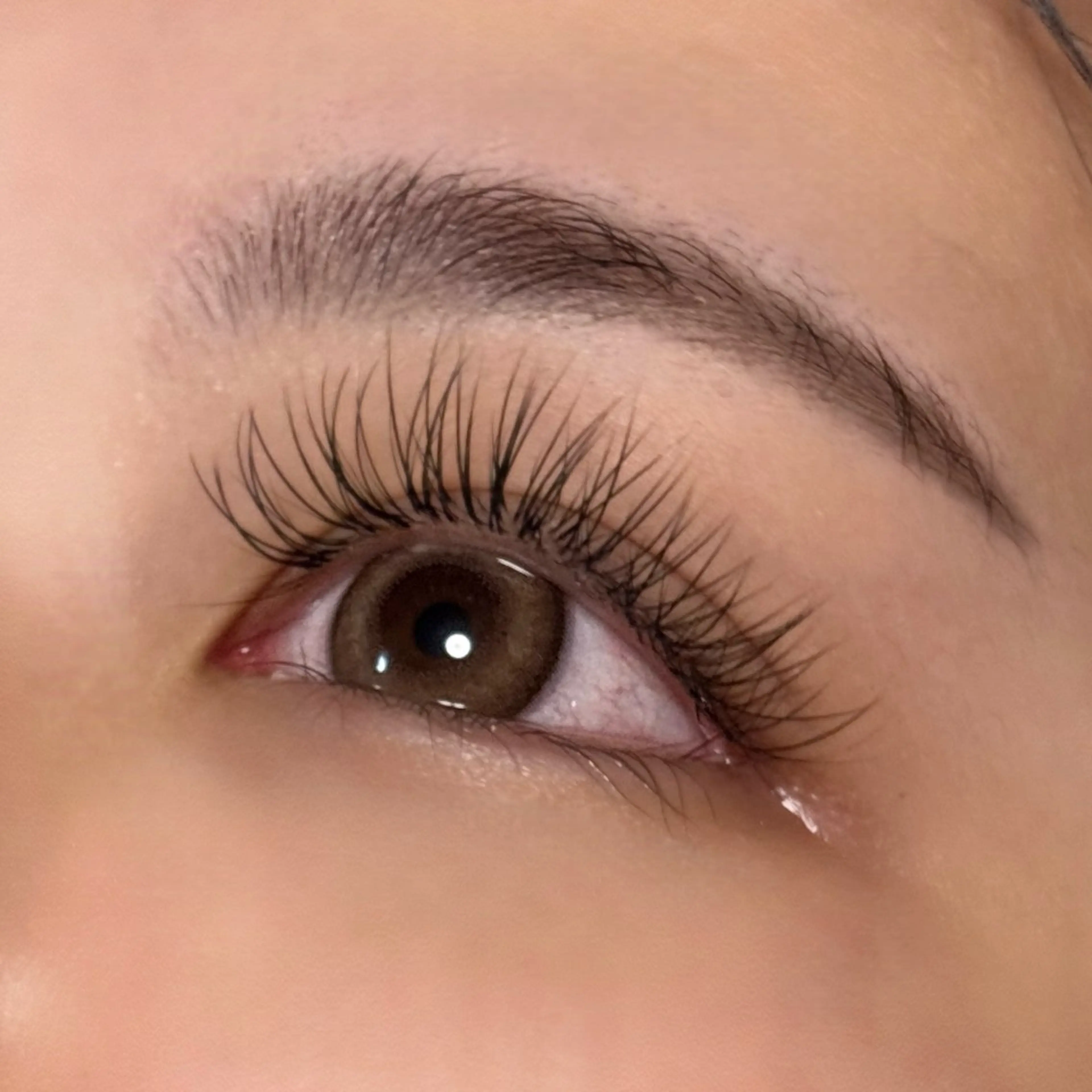 スタッフ応援クーポン🎀　フラットラッシュつけ放題🪄オフ、アイシャンプー、コーティング付きの写真