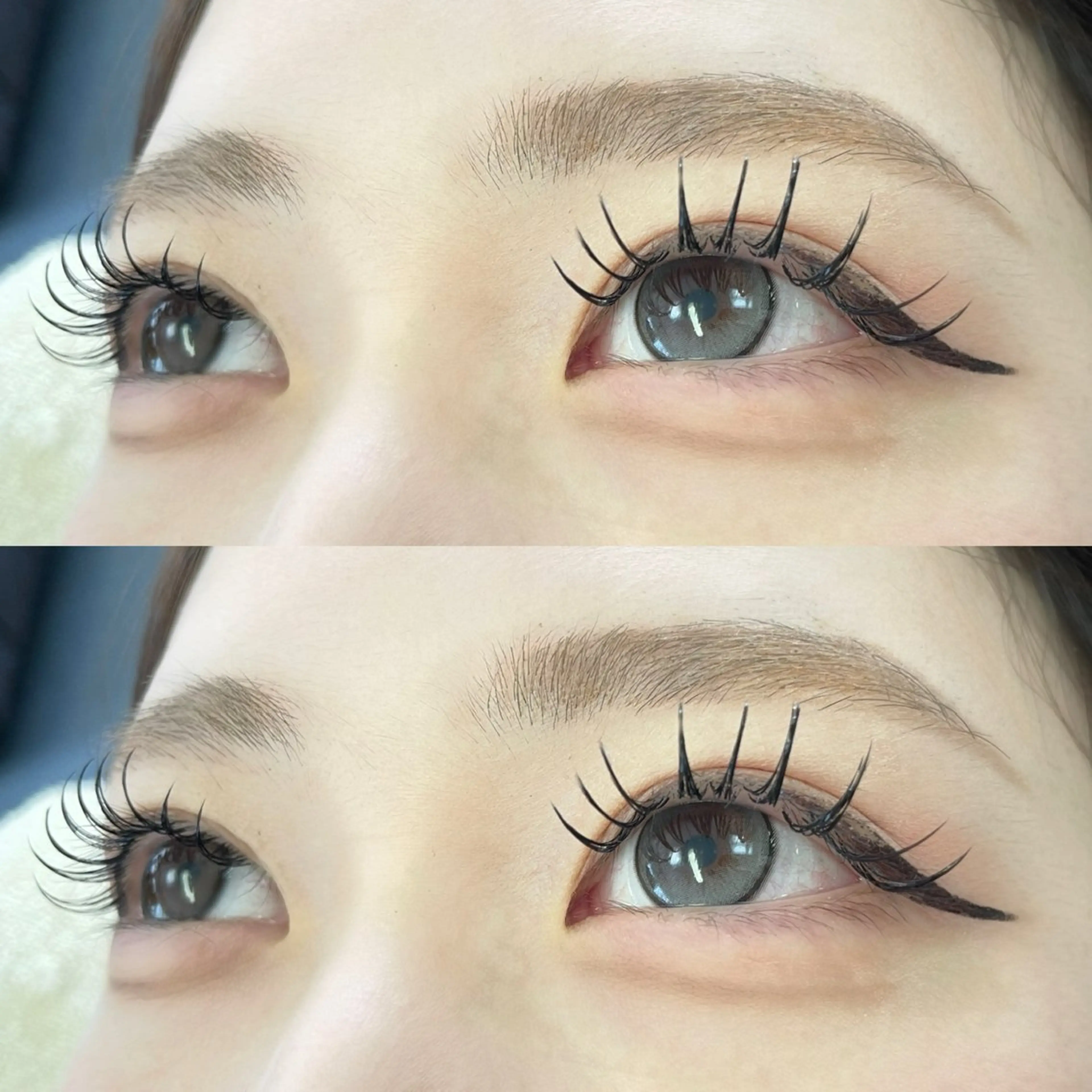 🎀フラットラッシュ 120本🎀〈オフ無〉 束感仕上げ💕コーティング🦩高円寺/中野/阿佐ヶ谷📍の写真