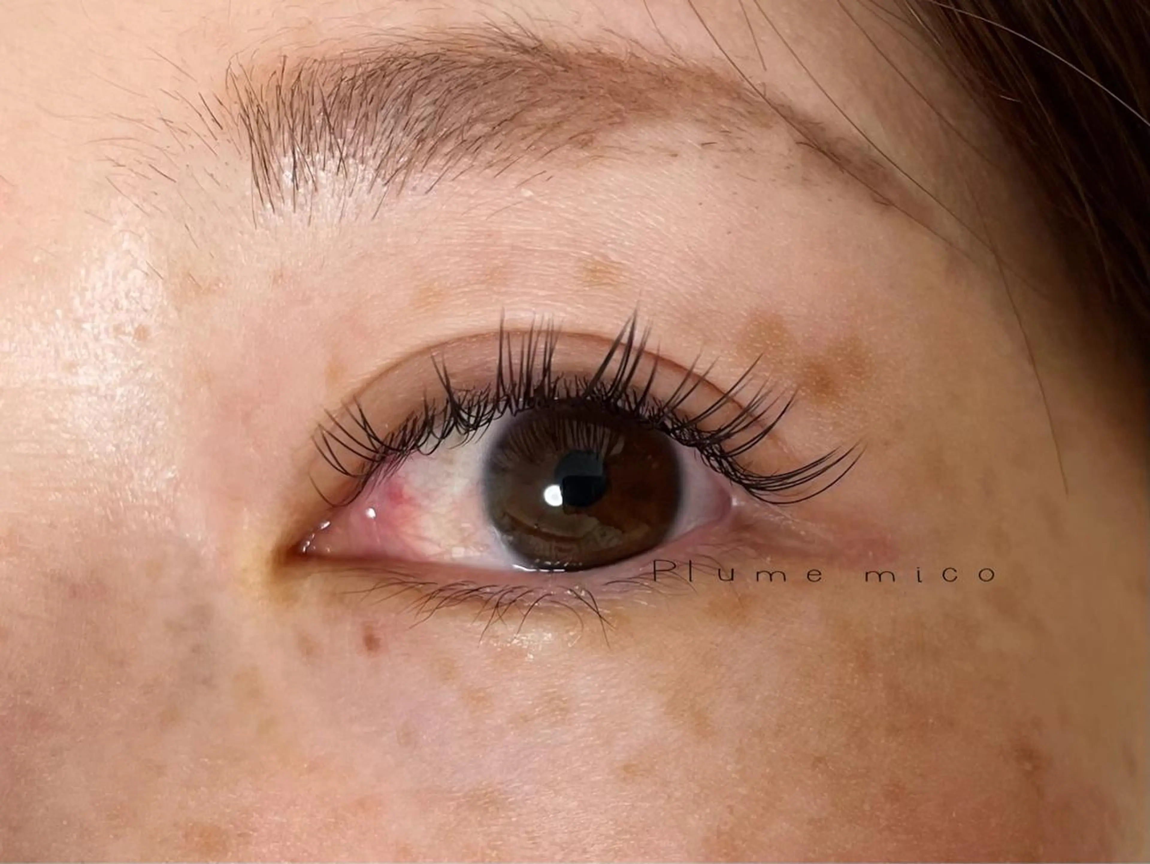 マツエク・マツパ マツエク Plume micoのマツエク・マツパデザイン