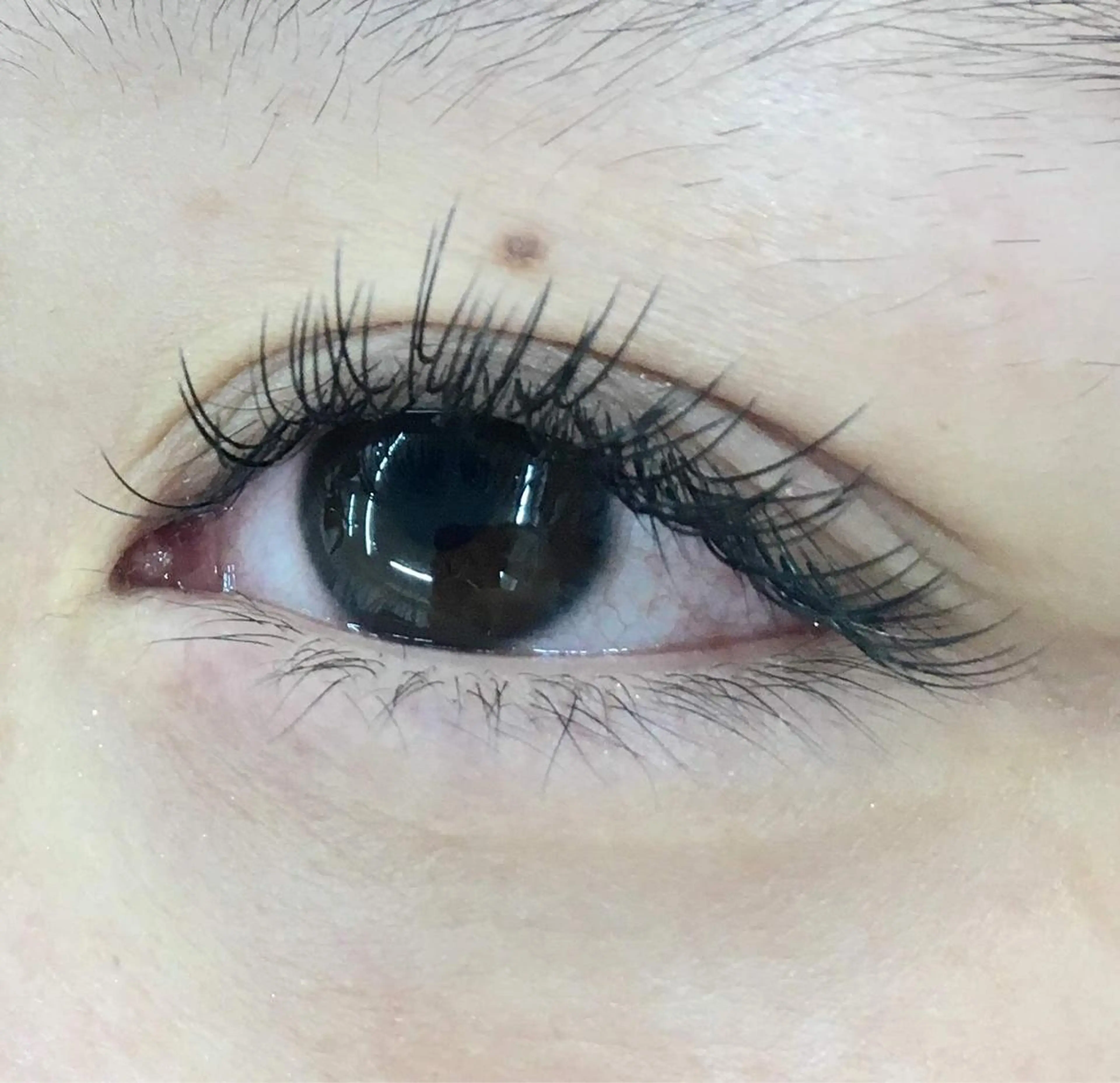 マツエク・マツパ enuemu所属・クマクラ ぱっちりeyeに💓のマツエク・マツパデザイン