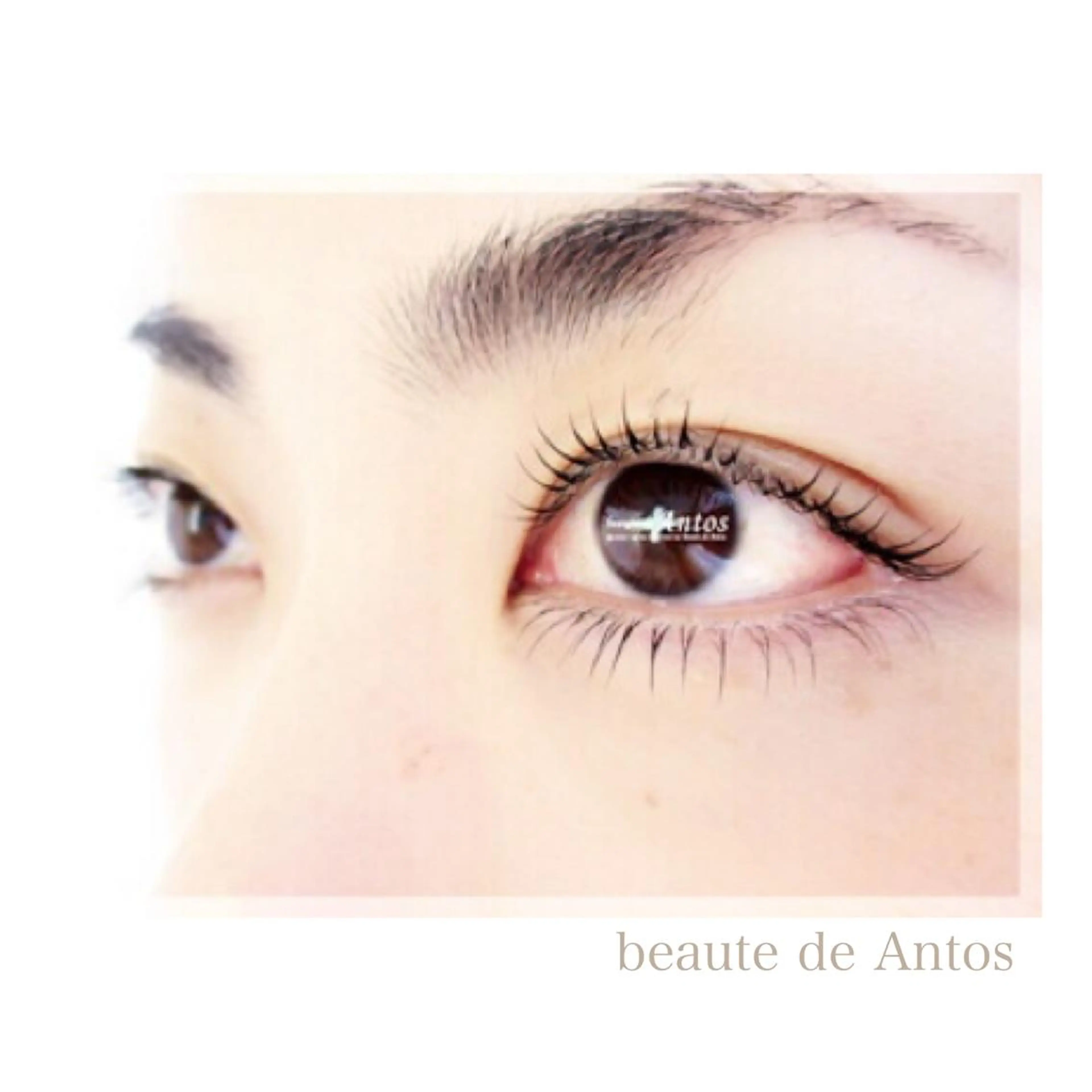 マツエク・マツパ 下まつげエクステ まつげ&眉の専門店 アントススタッフの眉毛・アイブロウイメージ