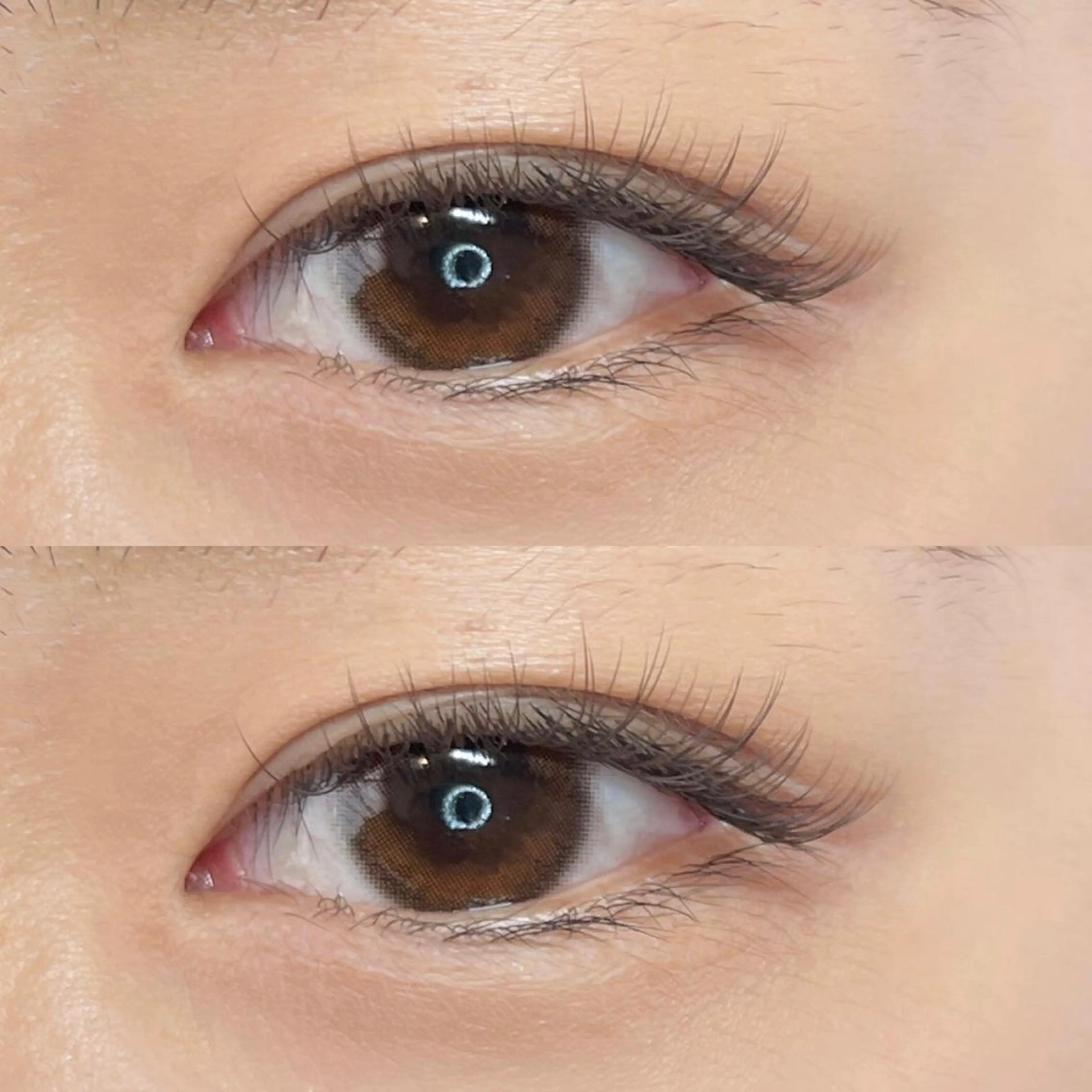 マツエク・マツパ カラーマツエク 韓国風マツエク まつげパーマ warme𓂂𓂃 fukaのヘアスタイル