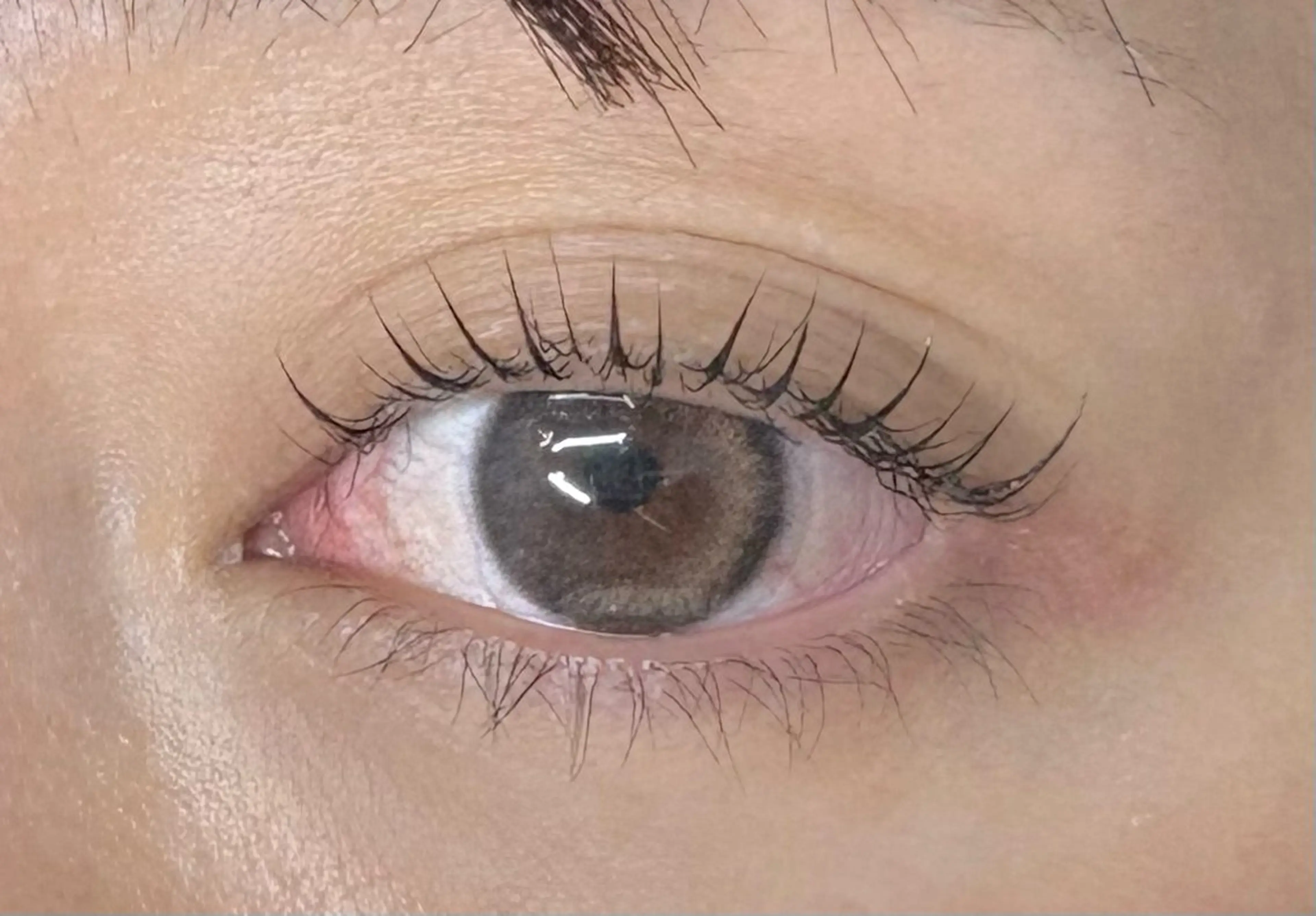 【まつ毛パーマ(上)】⭐️練習モデル様専用の写真