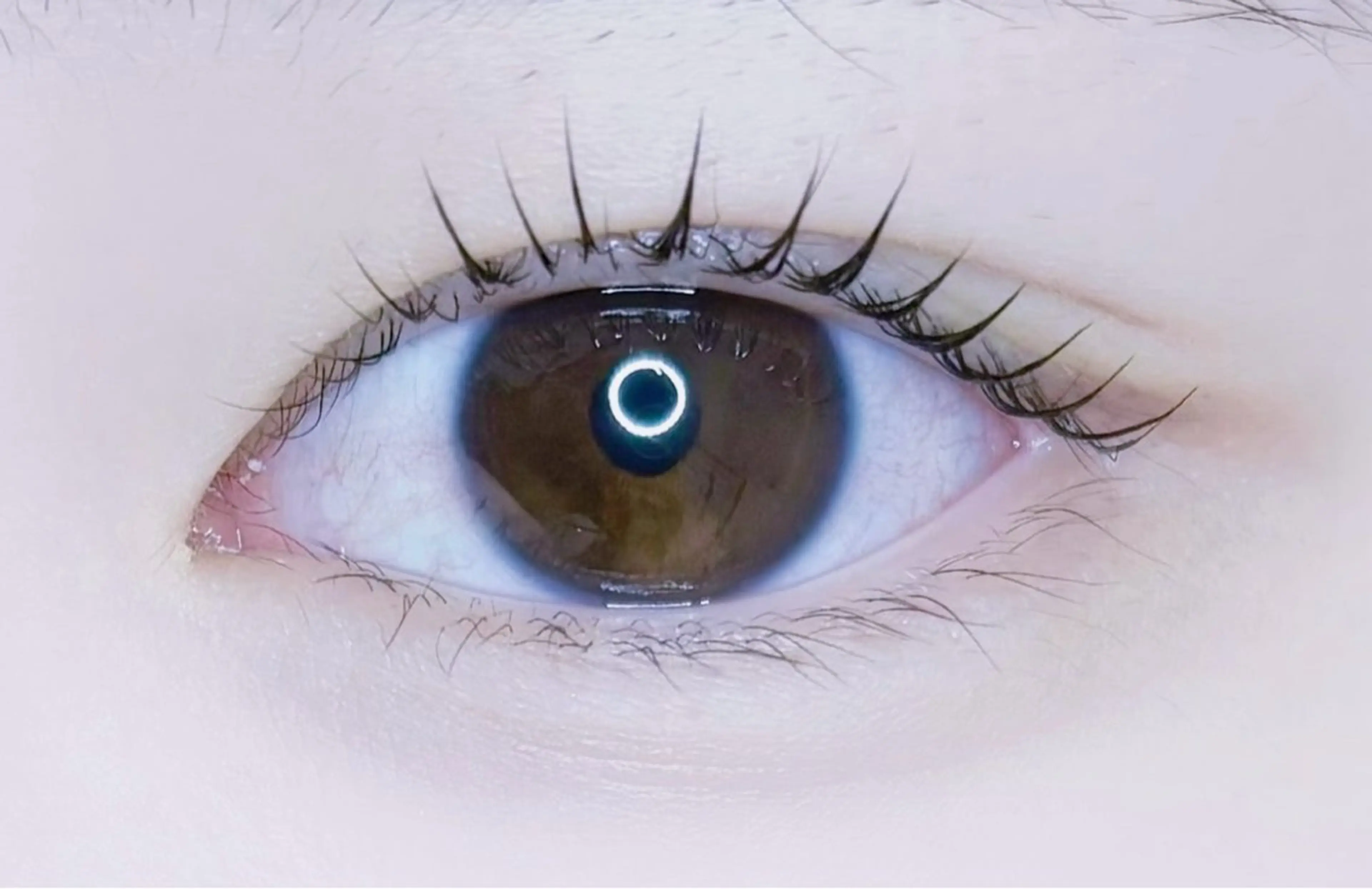 マツエク・マツパ マツパ bloom miyuのマツエク・マツパデザイン