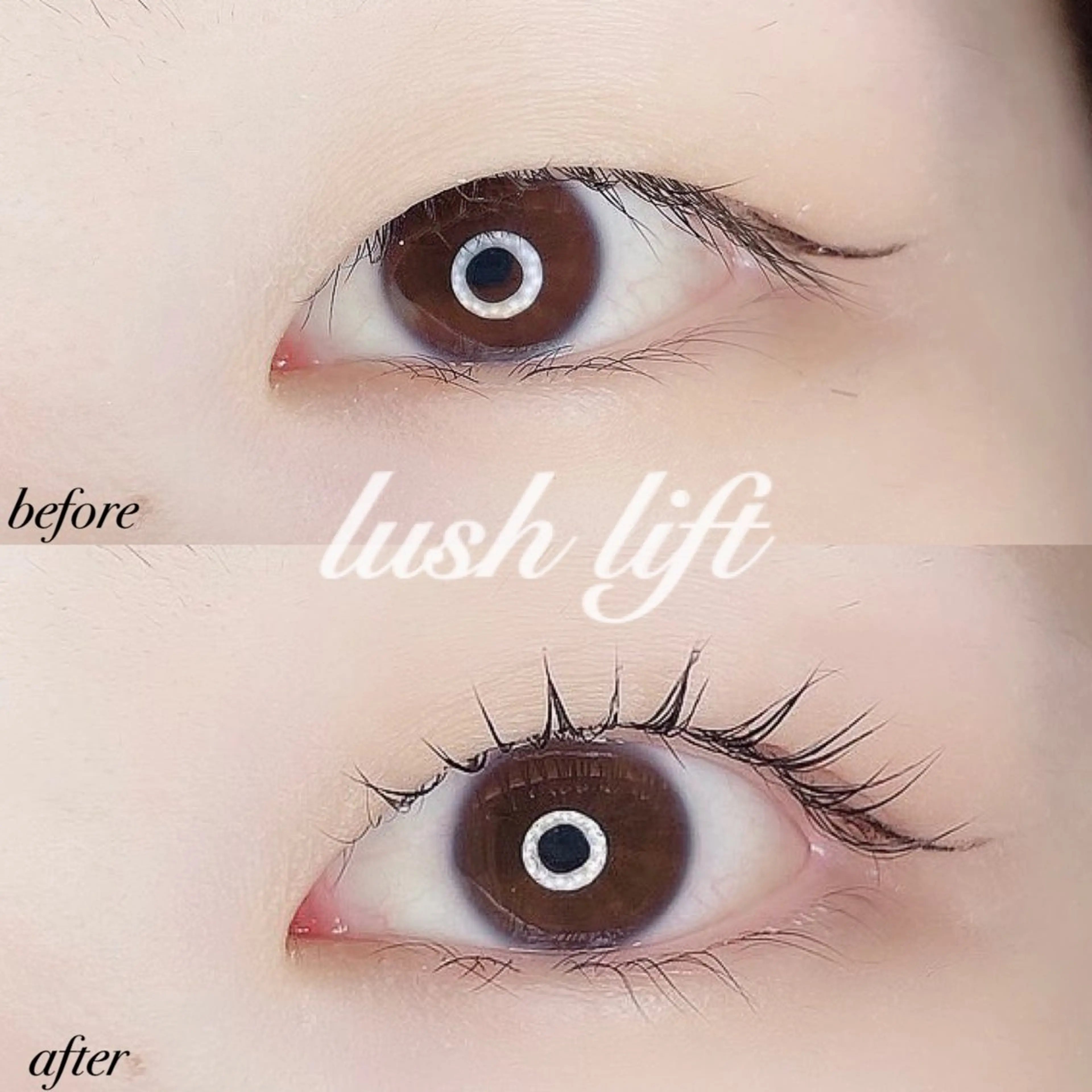 マツエク・マツパ 一重×まつ毛パーマ SOLUNA(ソルーナ)所属・SOLUNA 💛staffのエステ・リラクイメージ