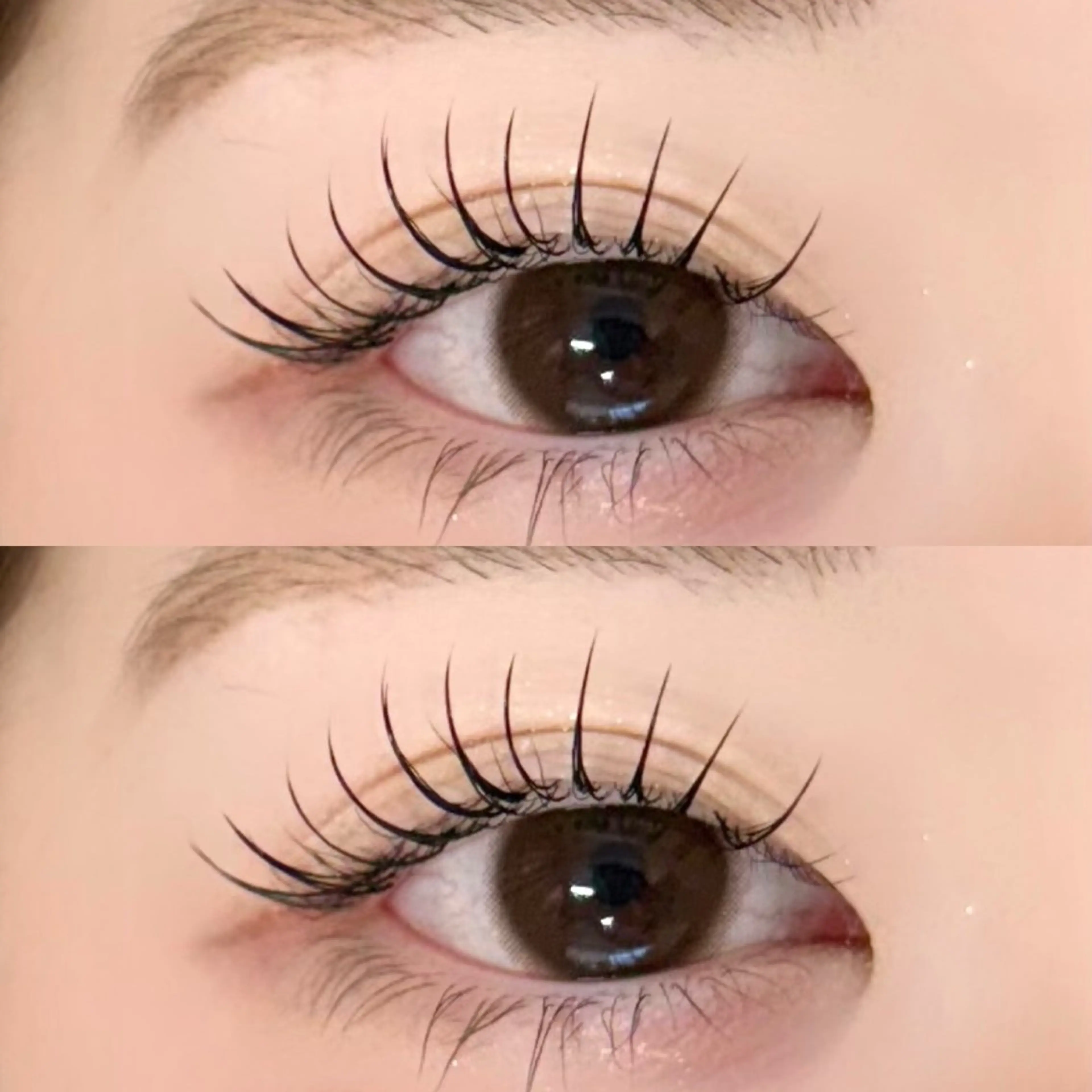 【パリエク👀✨】parisienne+Flatlash80本  アイシャンプー+W coating付き🧴の写真