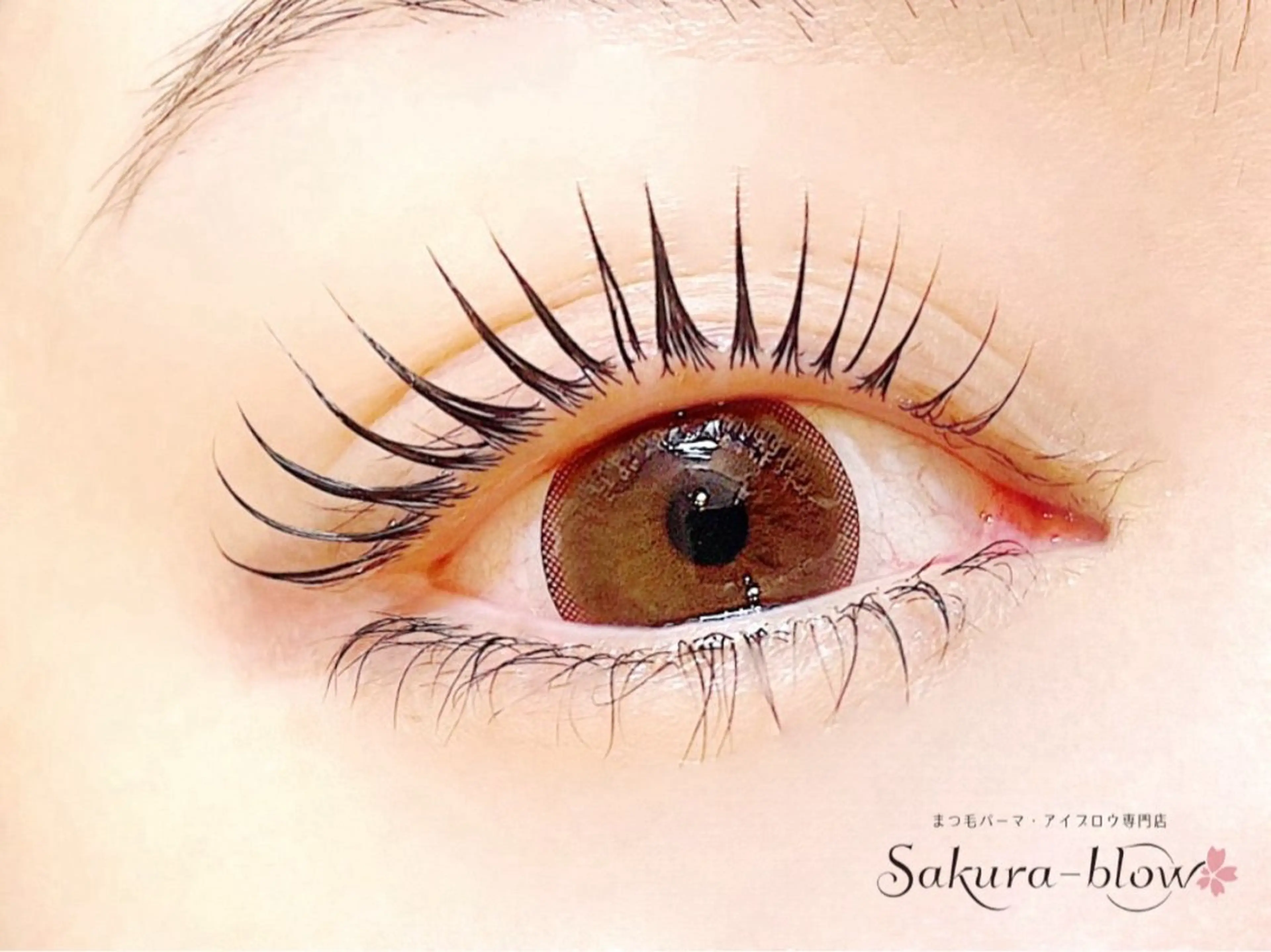 マツエク・マツパ サクラブロウ 心斎橋のマツエク・マツパデザイン