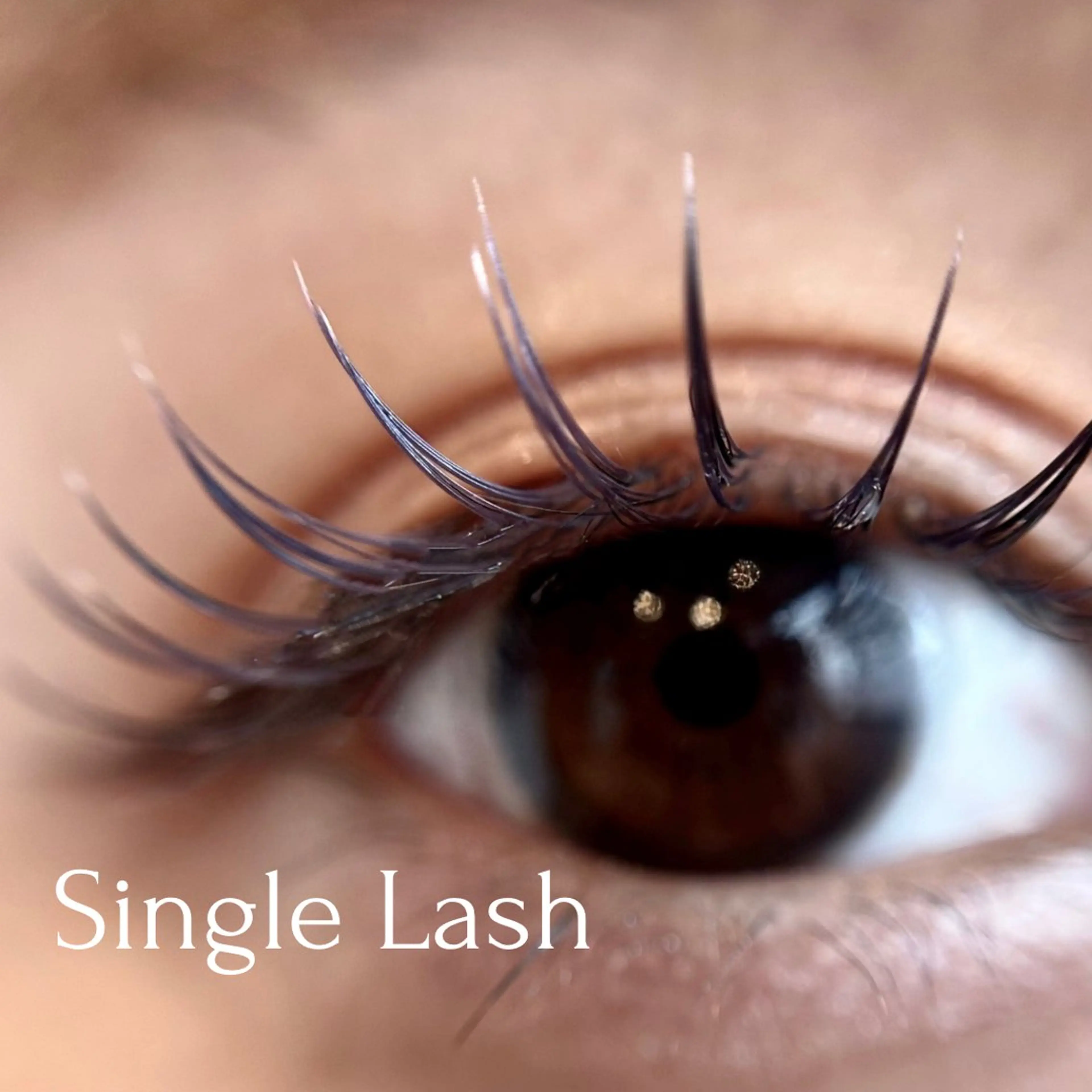 【平日限定！】【4STEP CARE】＋SINGLE LASH【100本】#フラットラッシュ［オフ無料］の写真