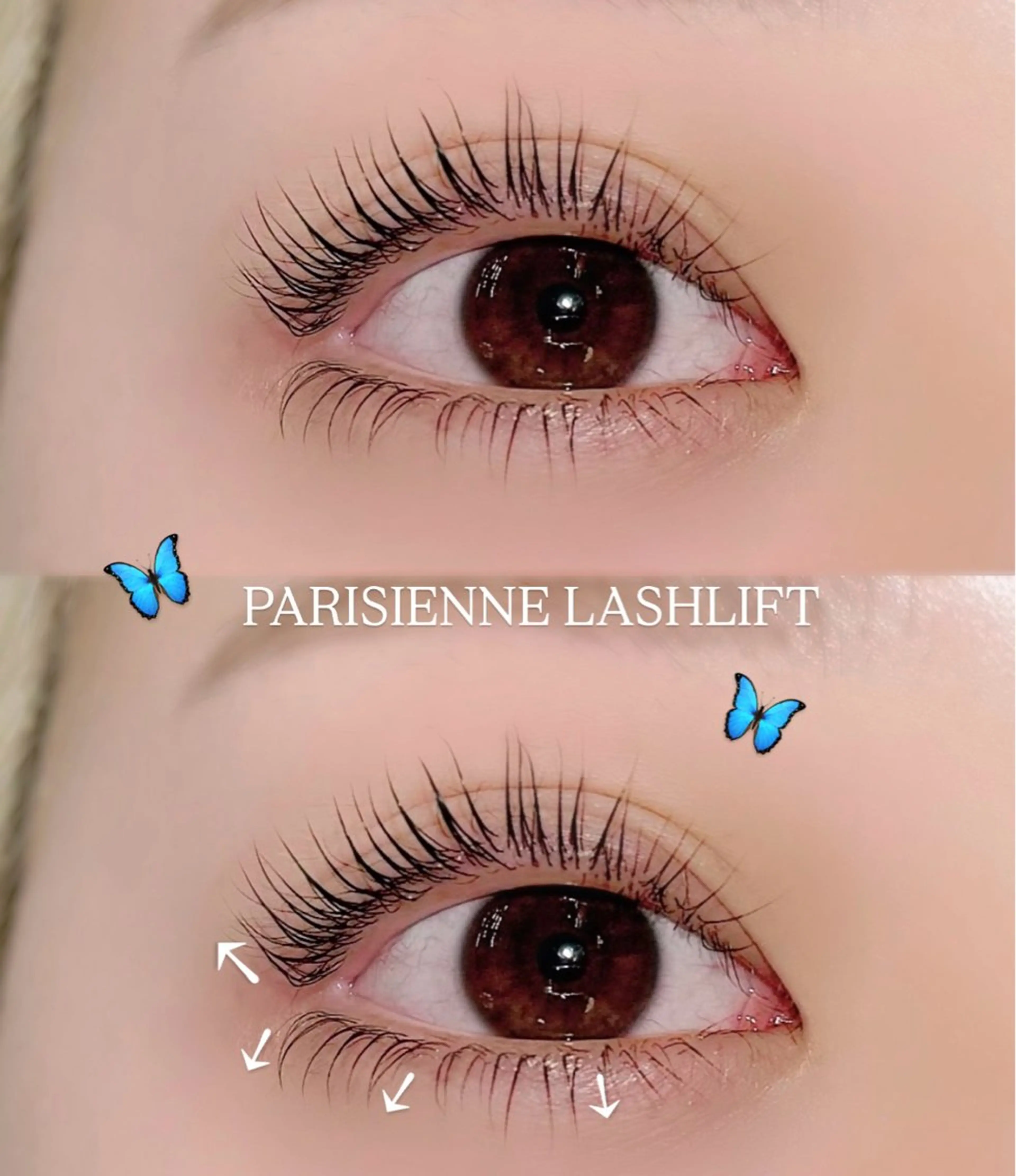 マツエク・マツパ マツパ lash & brow PORTE269所属・PORTE269🦋 Maika.のマツエク・マツパデザイン