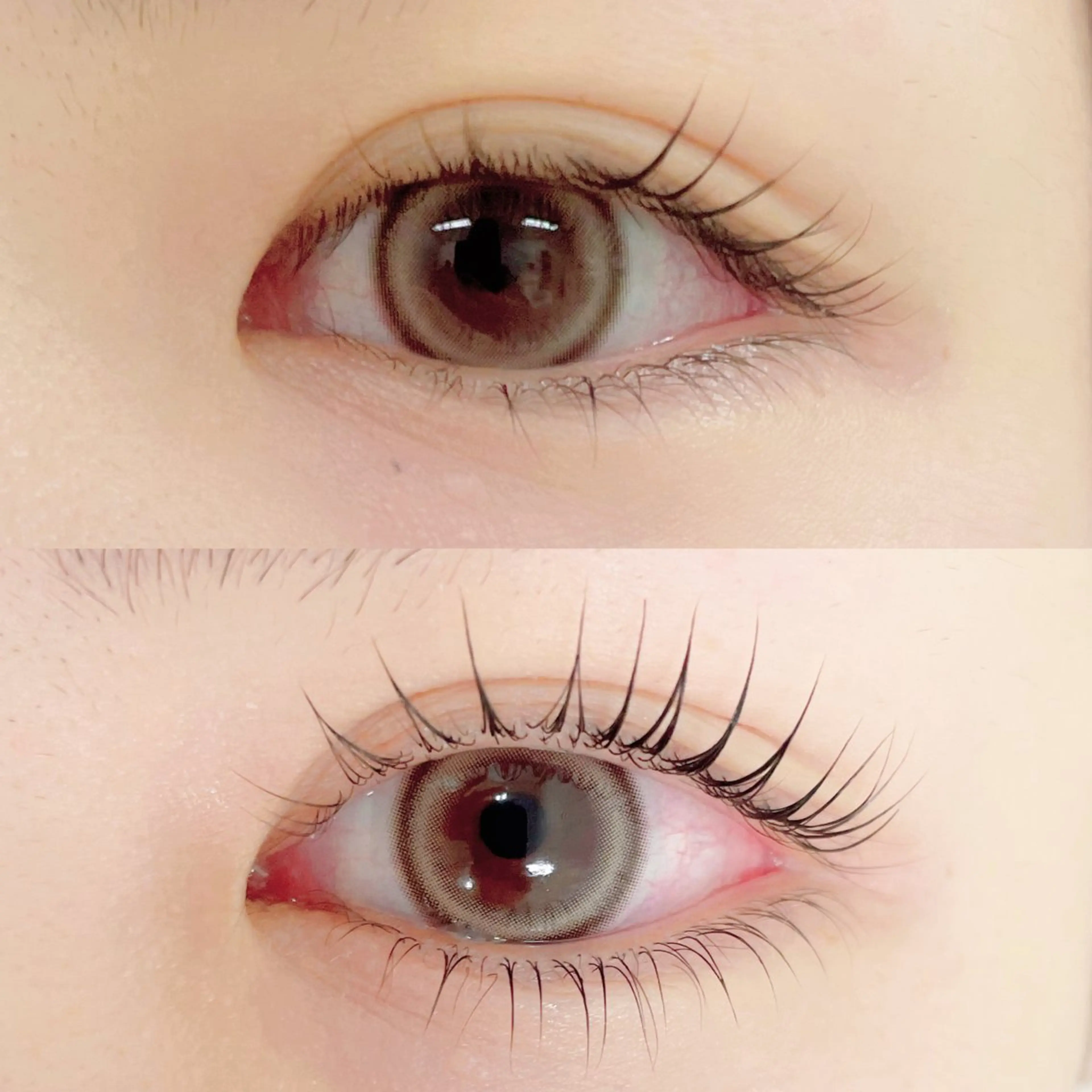 💙盛れる目元✨中顔面短縮🥹上下まつ毛パーマ♪アイシャンプー&高濃度トリートメント込み🦋の写真