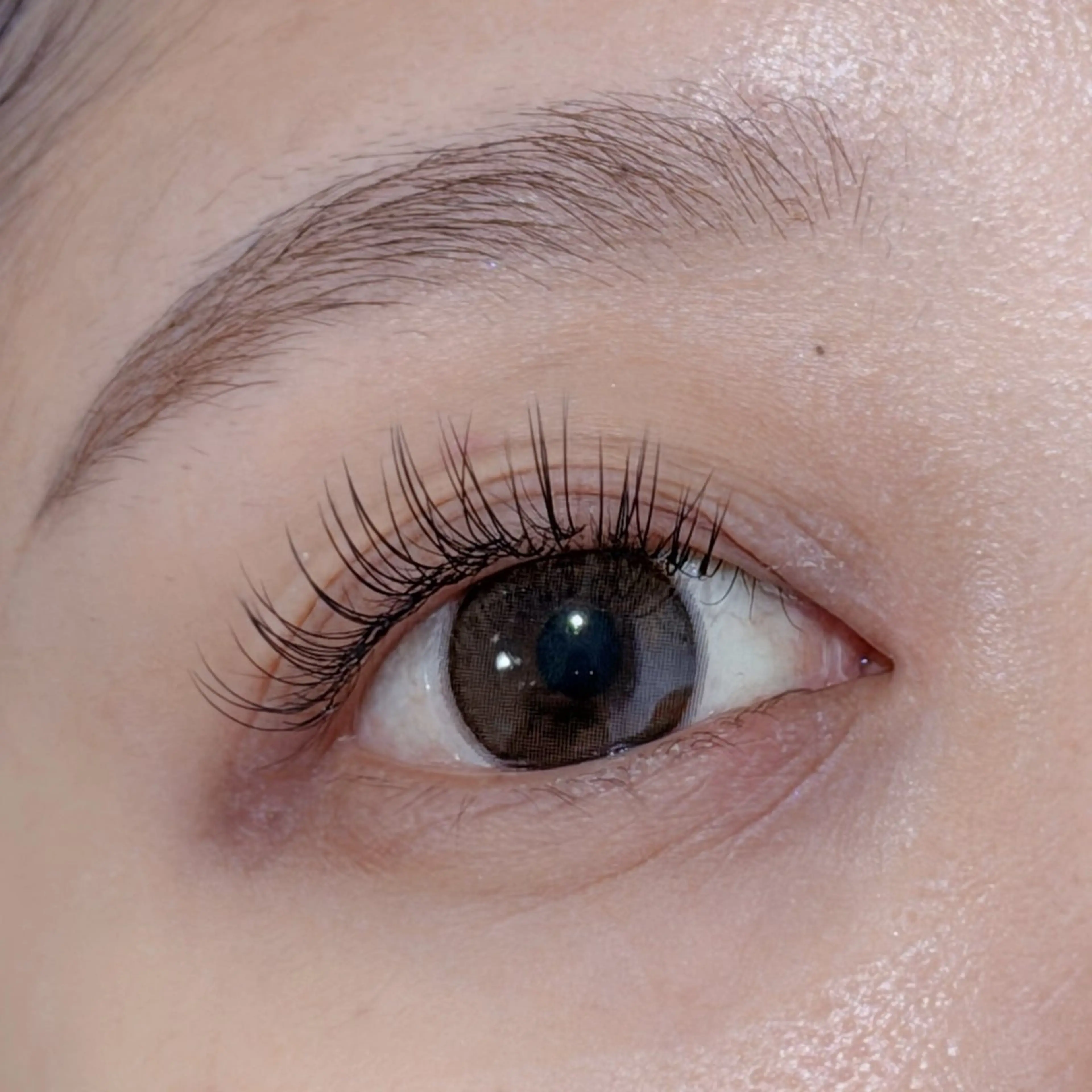 マツエク・マツパ Lil by Fan. 菊池のマツエク・マツパデザイン