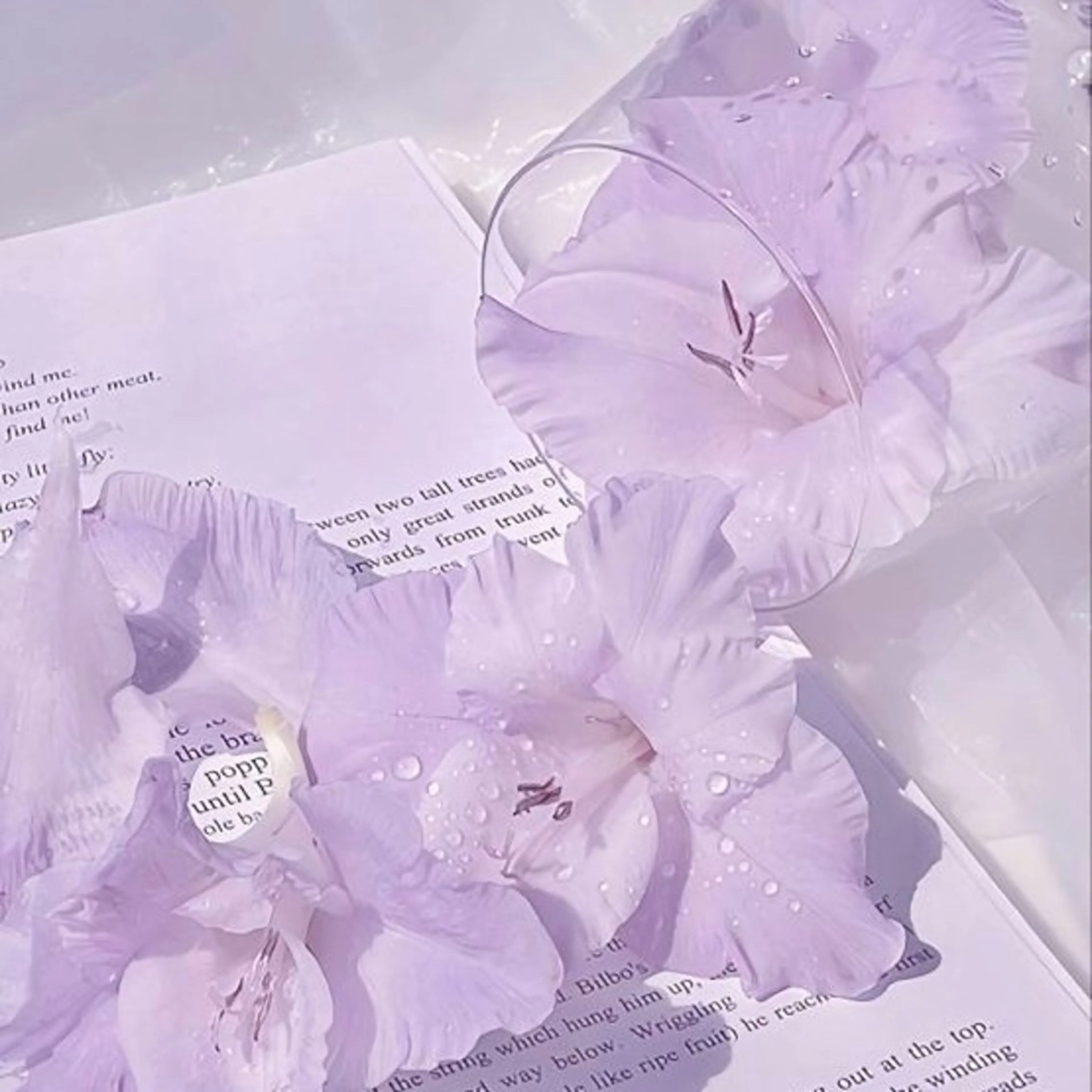 丸山 知夏のマツエク・マツパデザイン