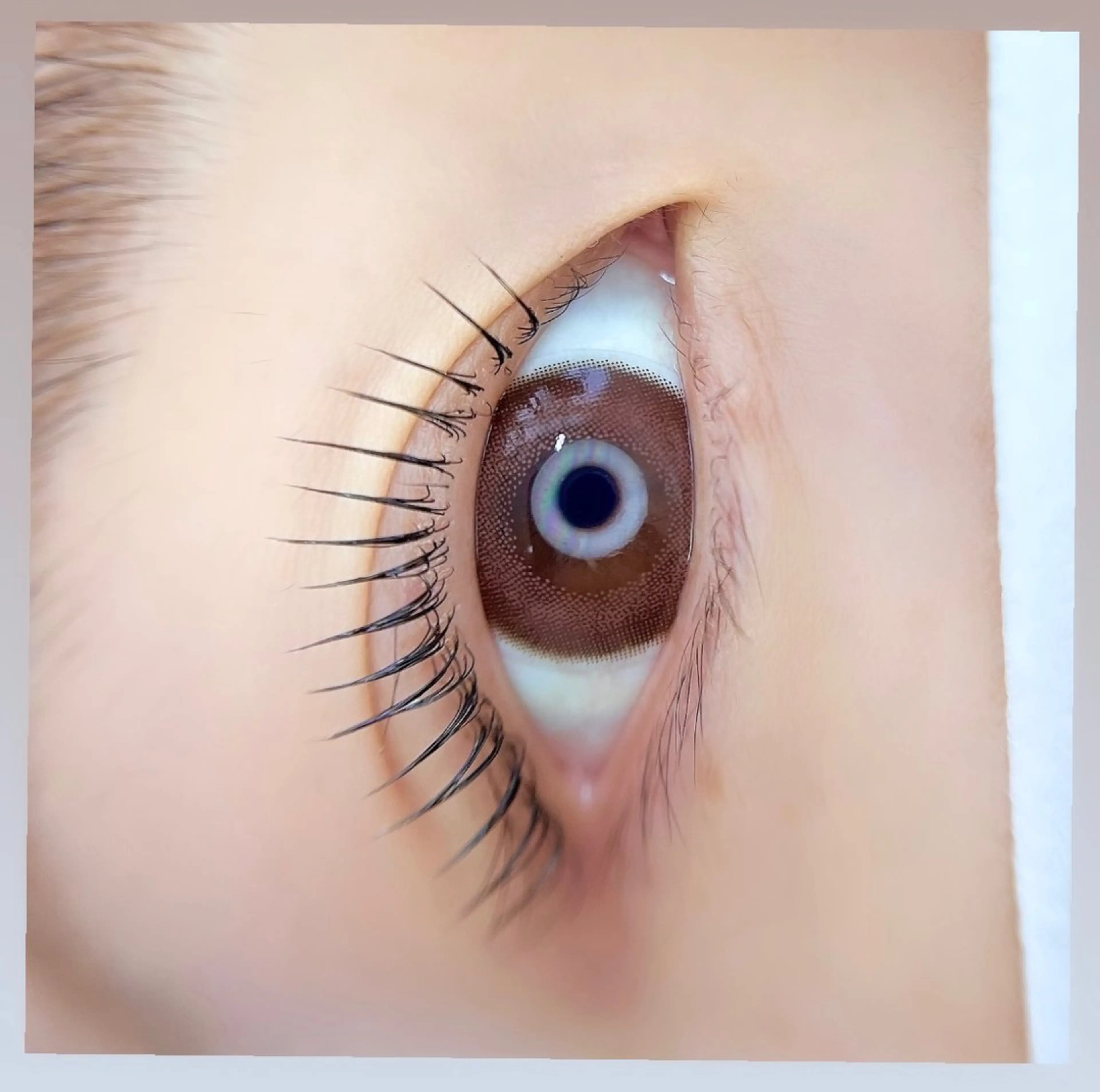 マツエク・マツパ un par un アンパルアン所属・un par unの眉毛・アイブロウイメージ